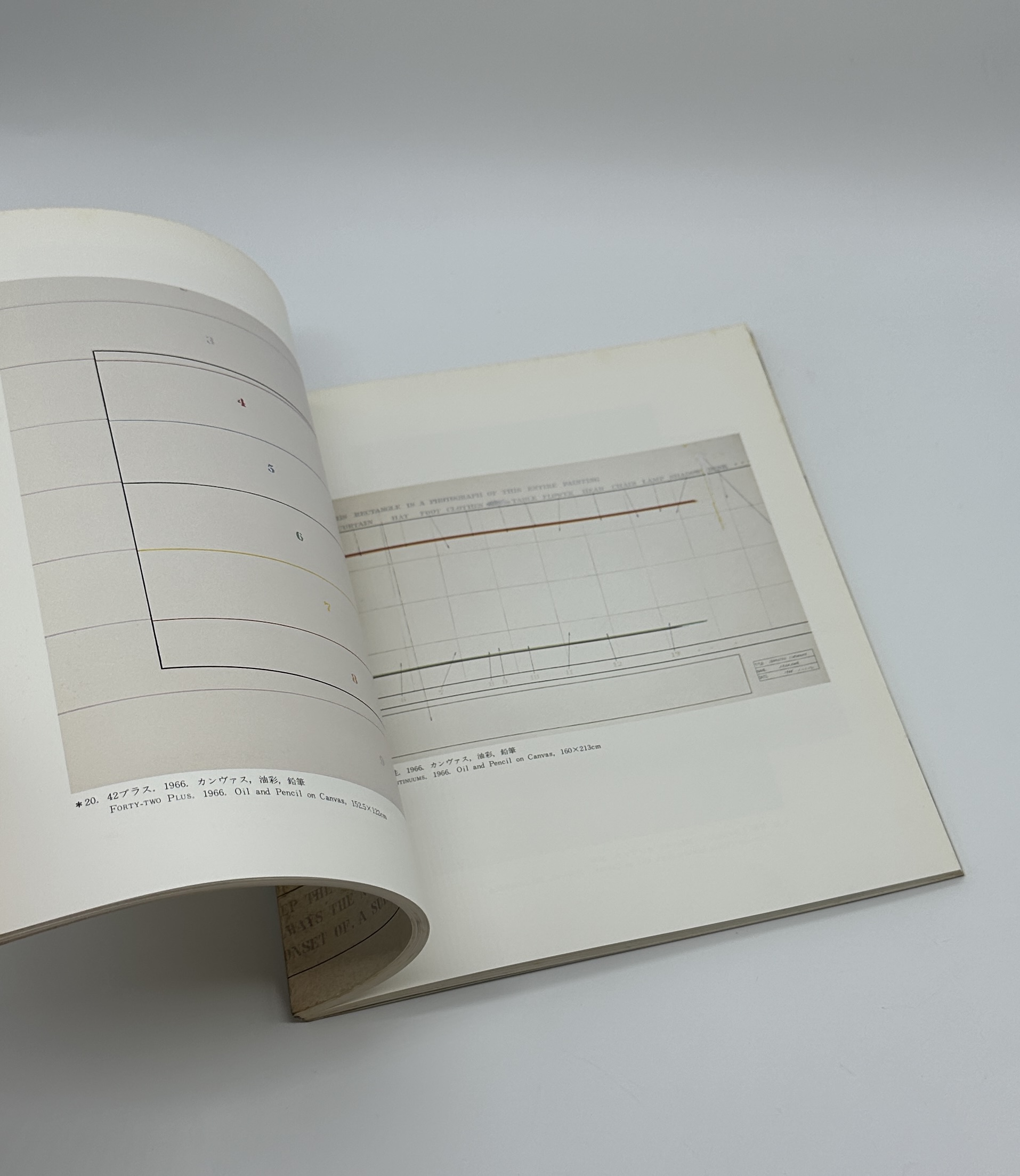 ARAKAWA　荒川修作展 - 画像 (3)