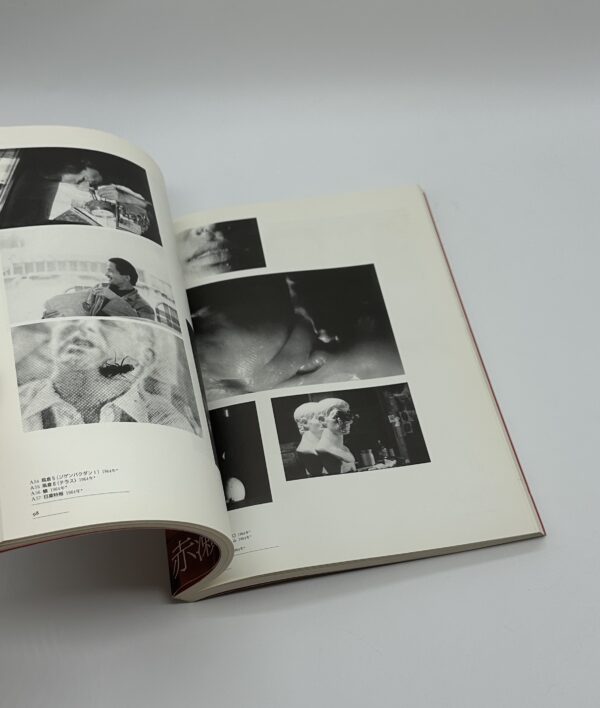 赤瀬川原平の冒険