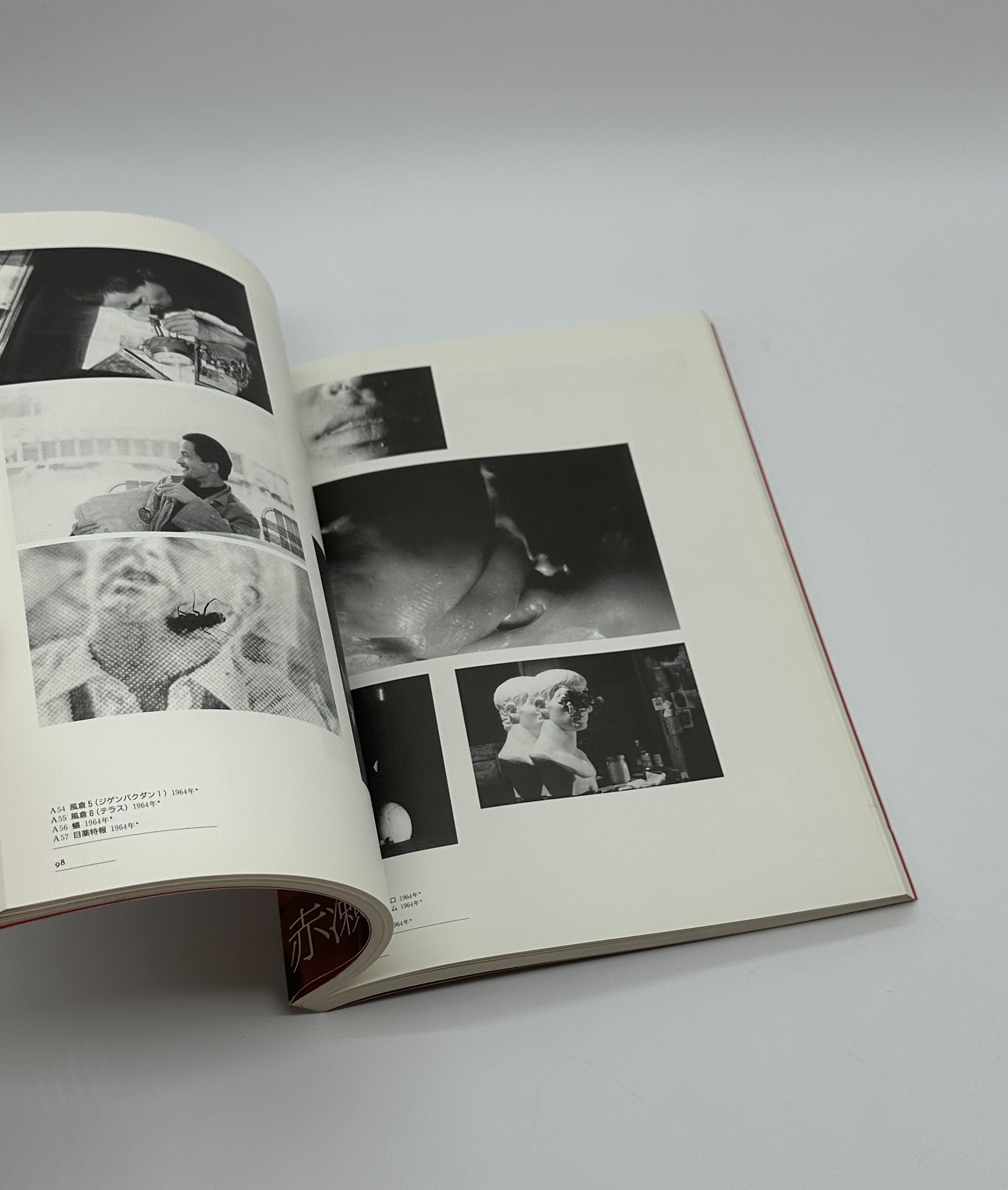 赤瀬川原平の冒険 - 画像 (6)