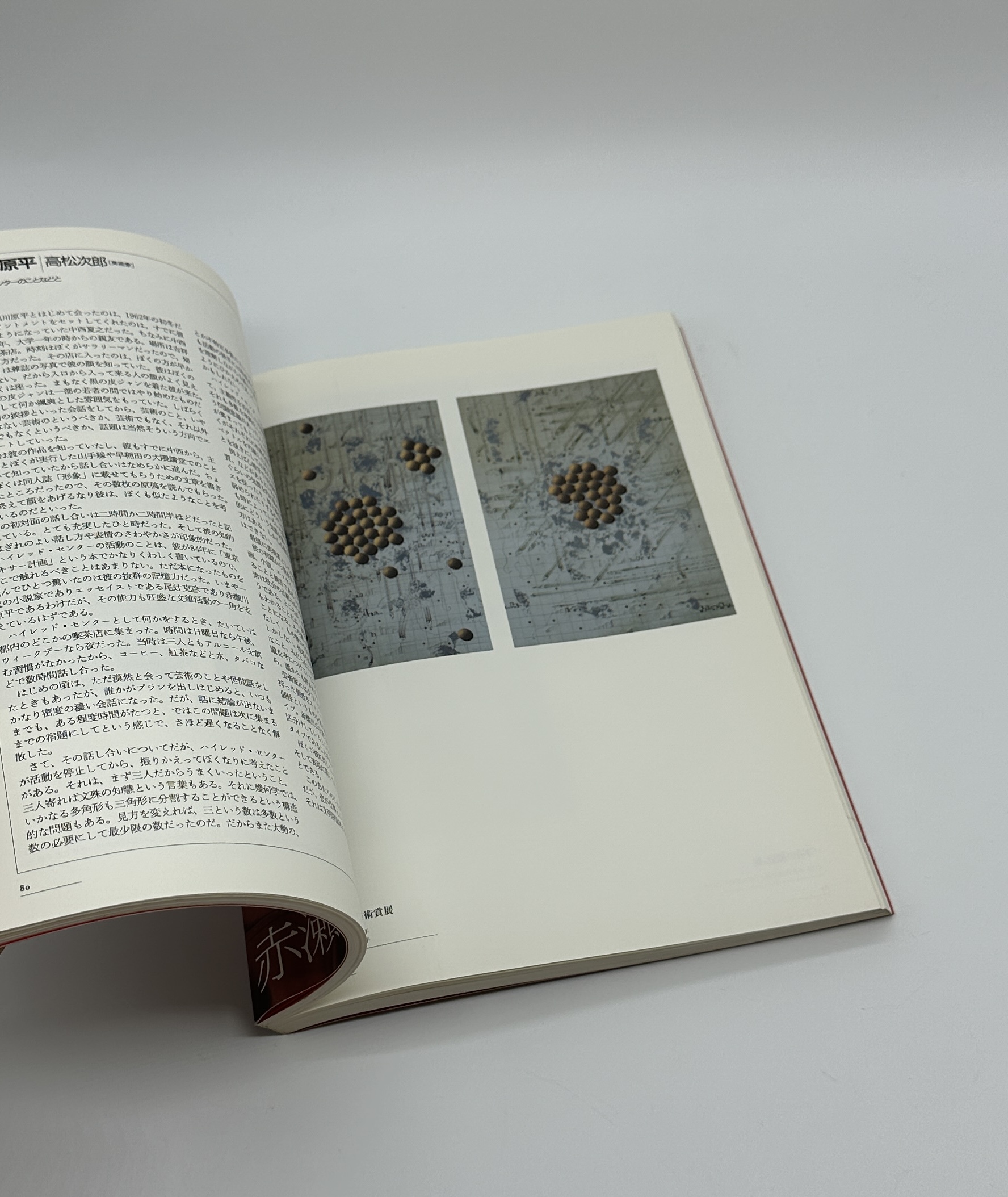 赤瀬川原平の冒険 - 画像 (5)