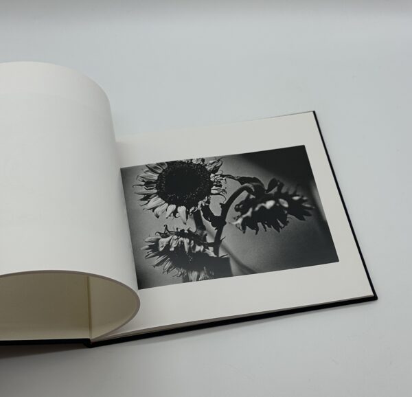 『署名入』仲治への旅