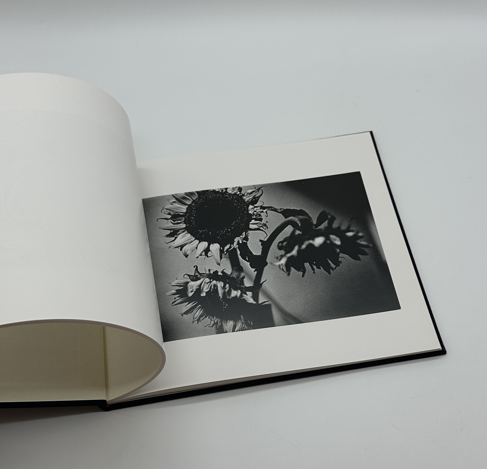 『署名入』仲治への旅 - 画像 (8)