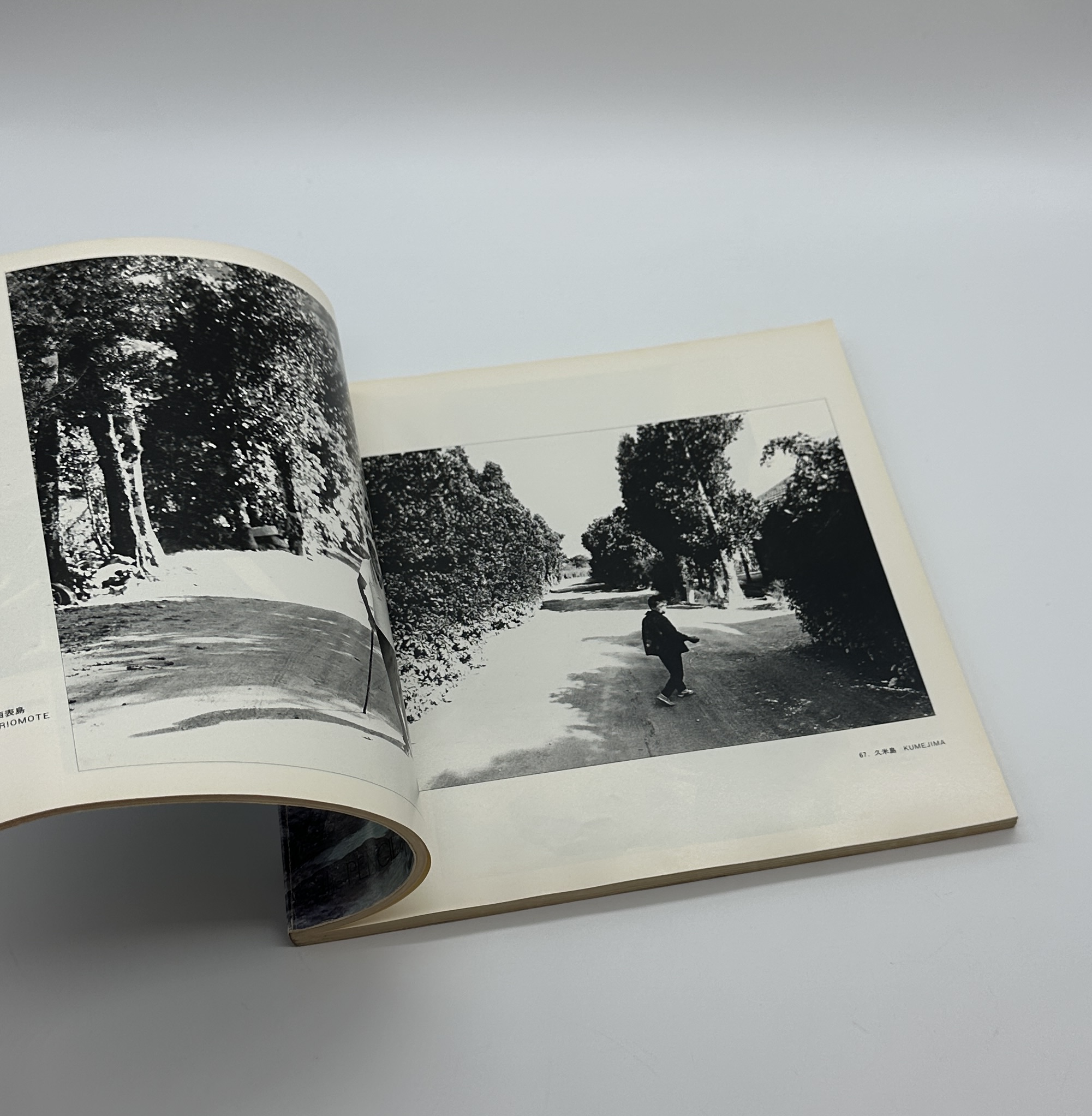 『署名入』太陽の鉛筆 - 画像 (4)