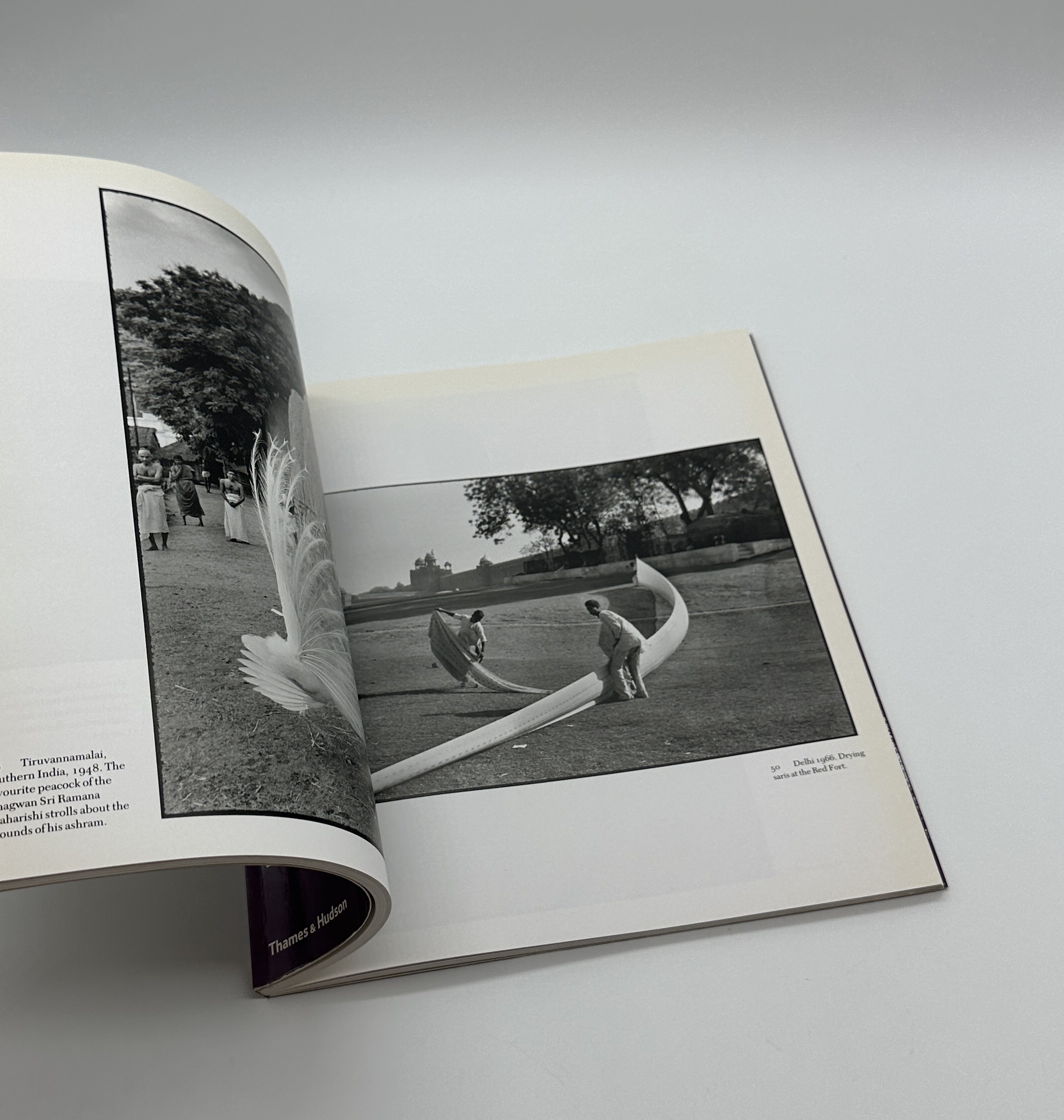 IN INDIA - 画像 (5)