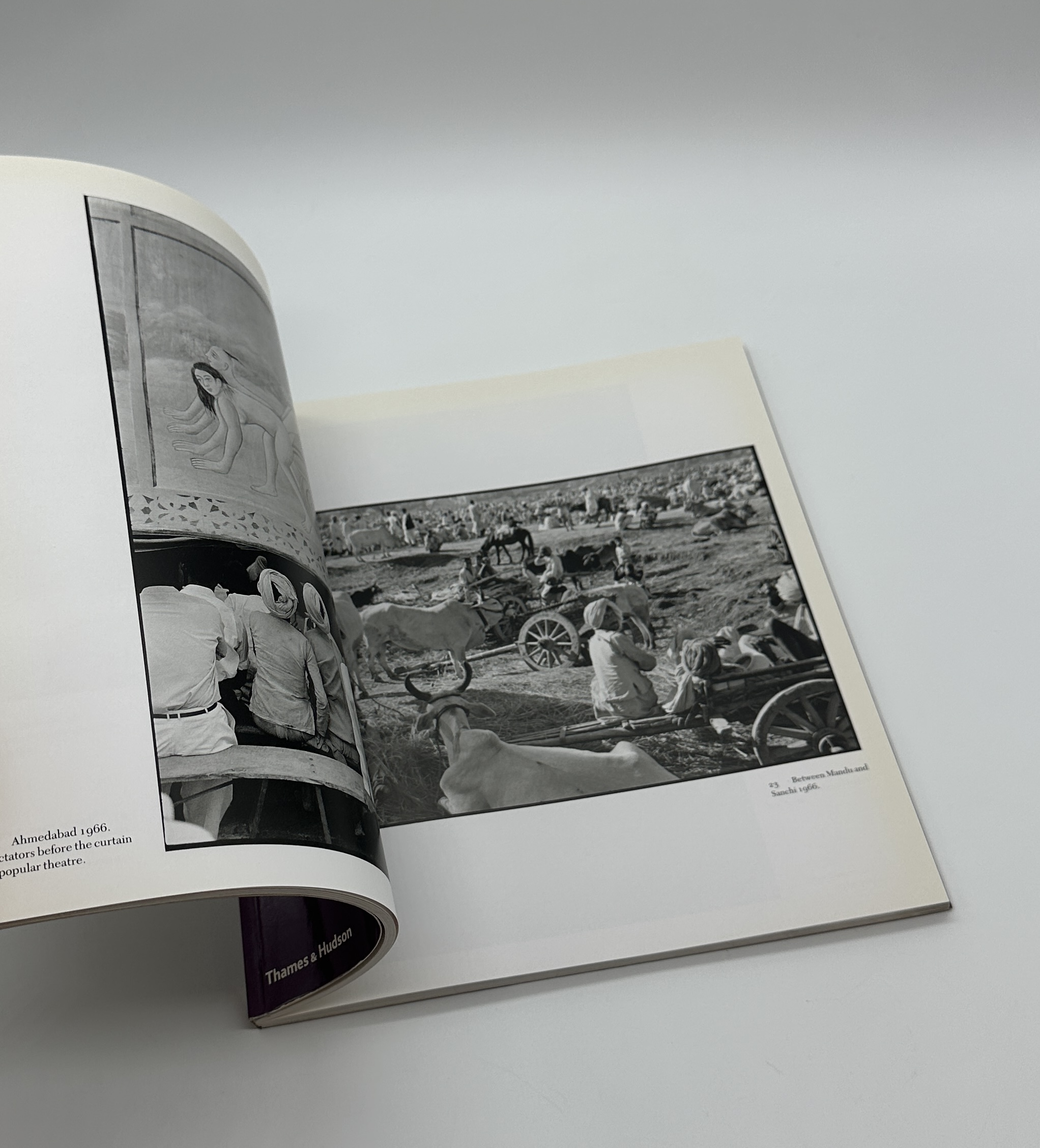 IN INDIA - 画像 (4)