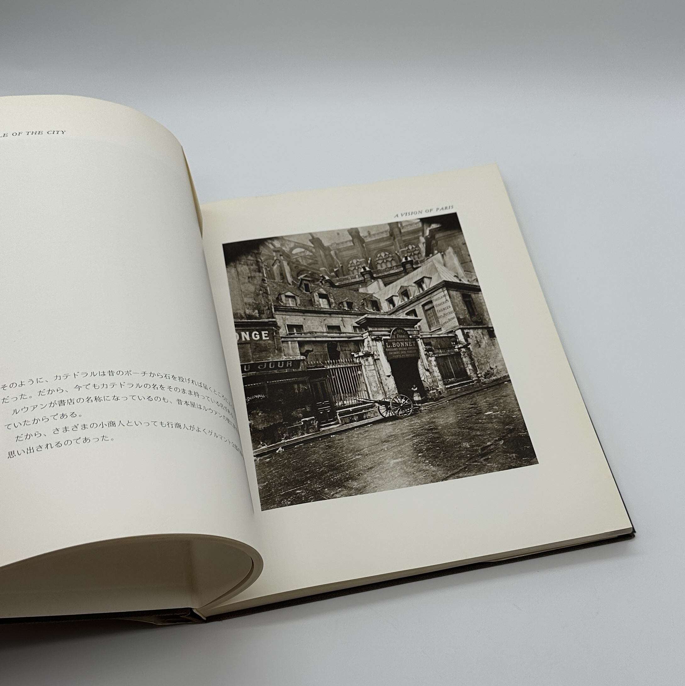 A VISION OF PARIS - 画像 (4)