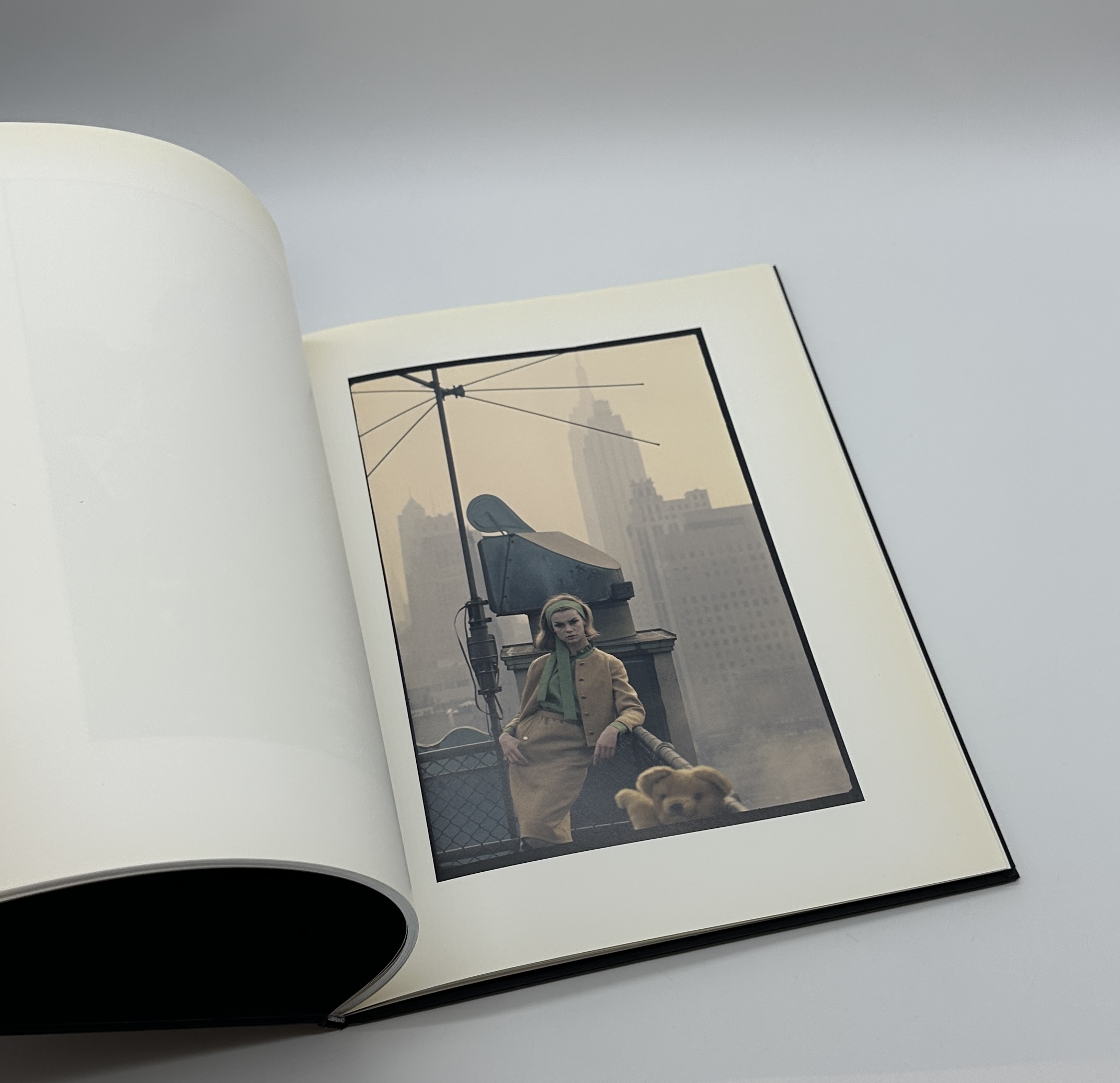 NY JS DB 62 - 画像 (4)