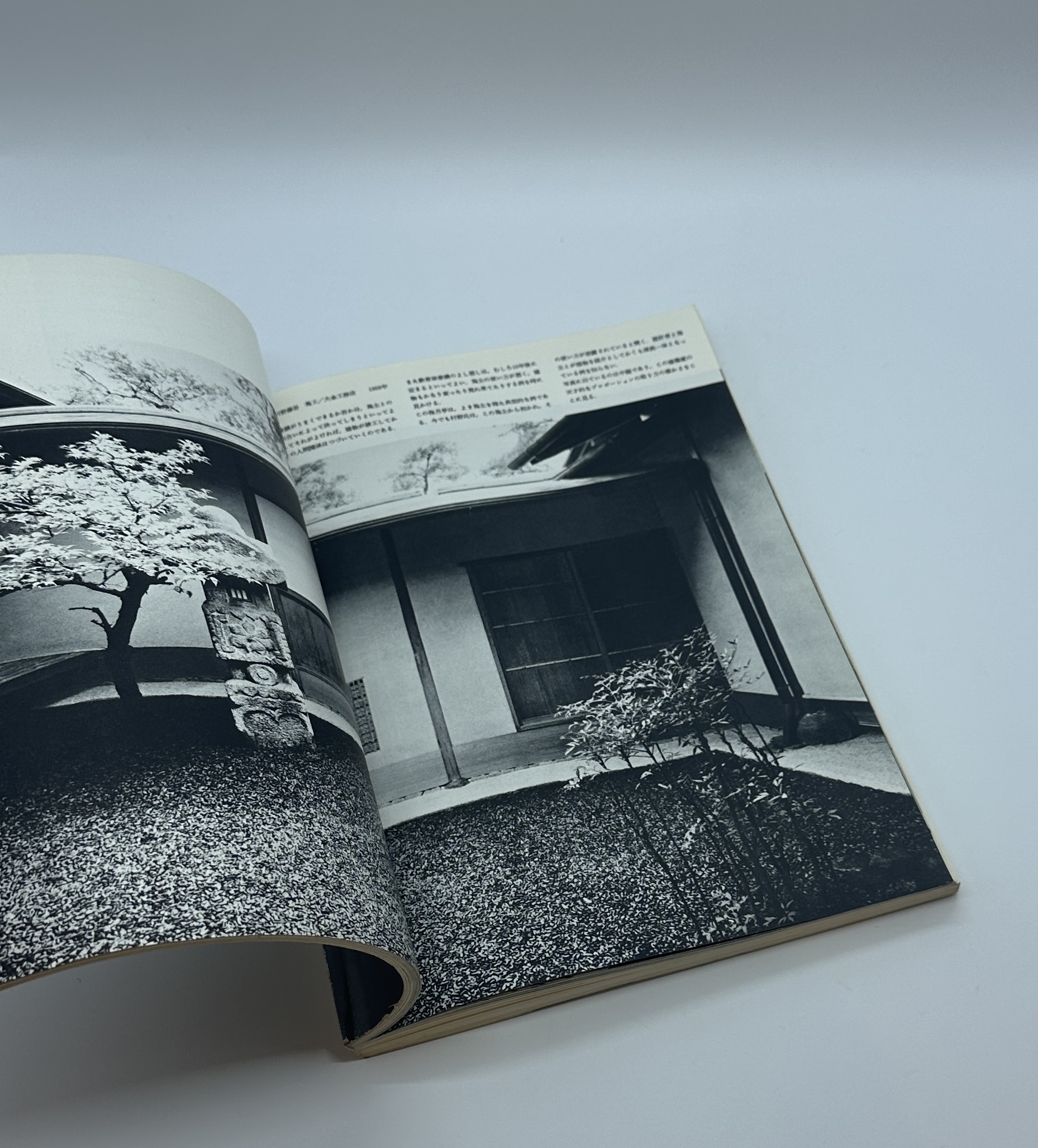 新建築　和風住宅の手法 - 画像 (3)