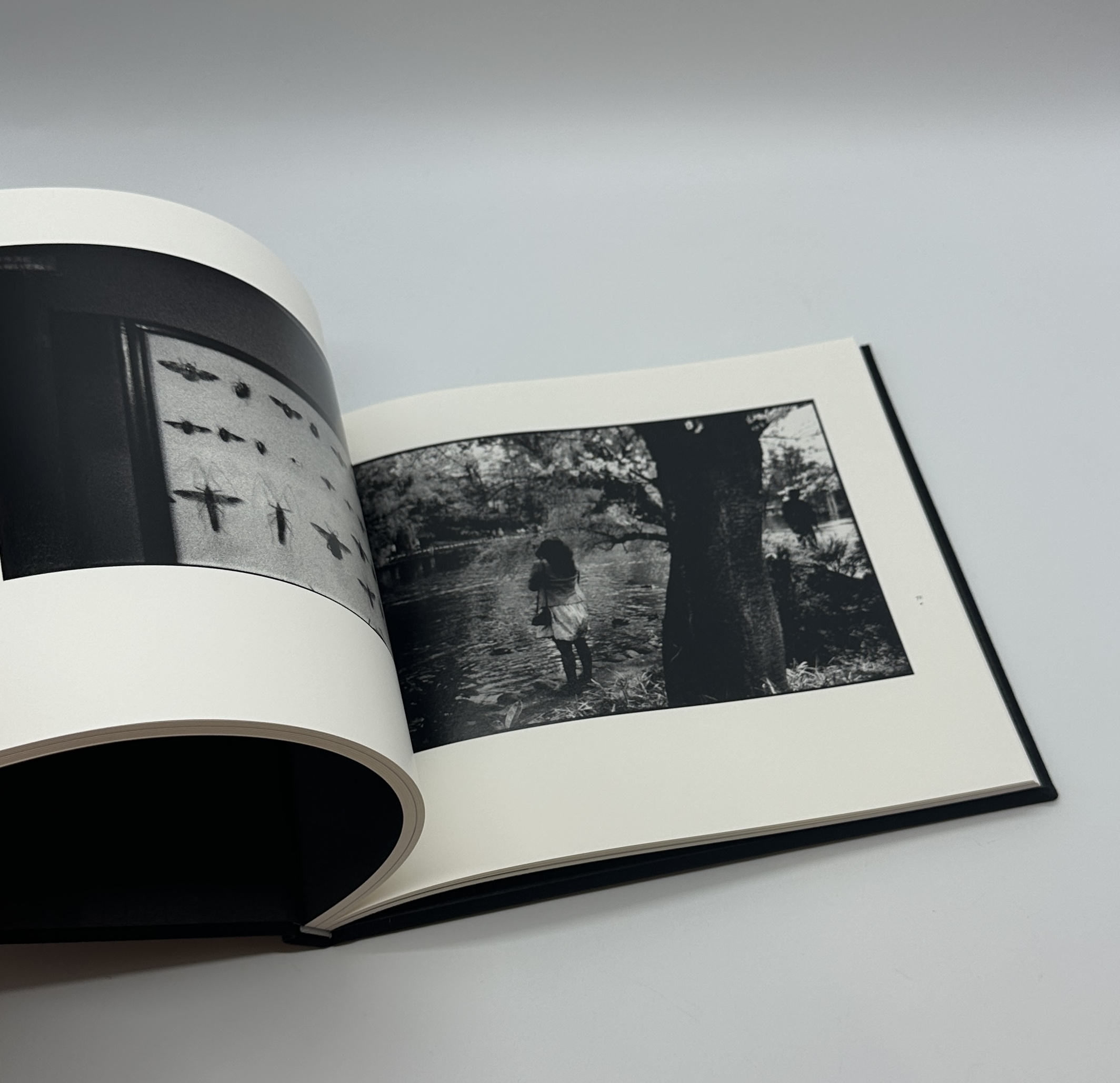 『署名入』夢の又夢 - 画像 (6)