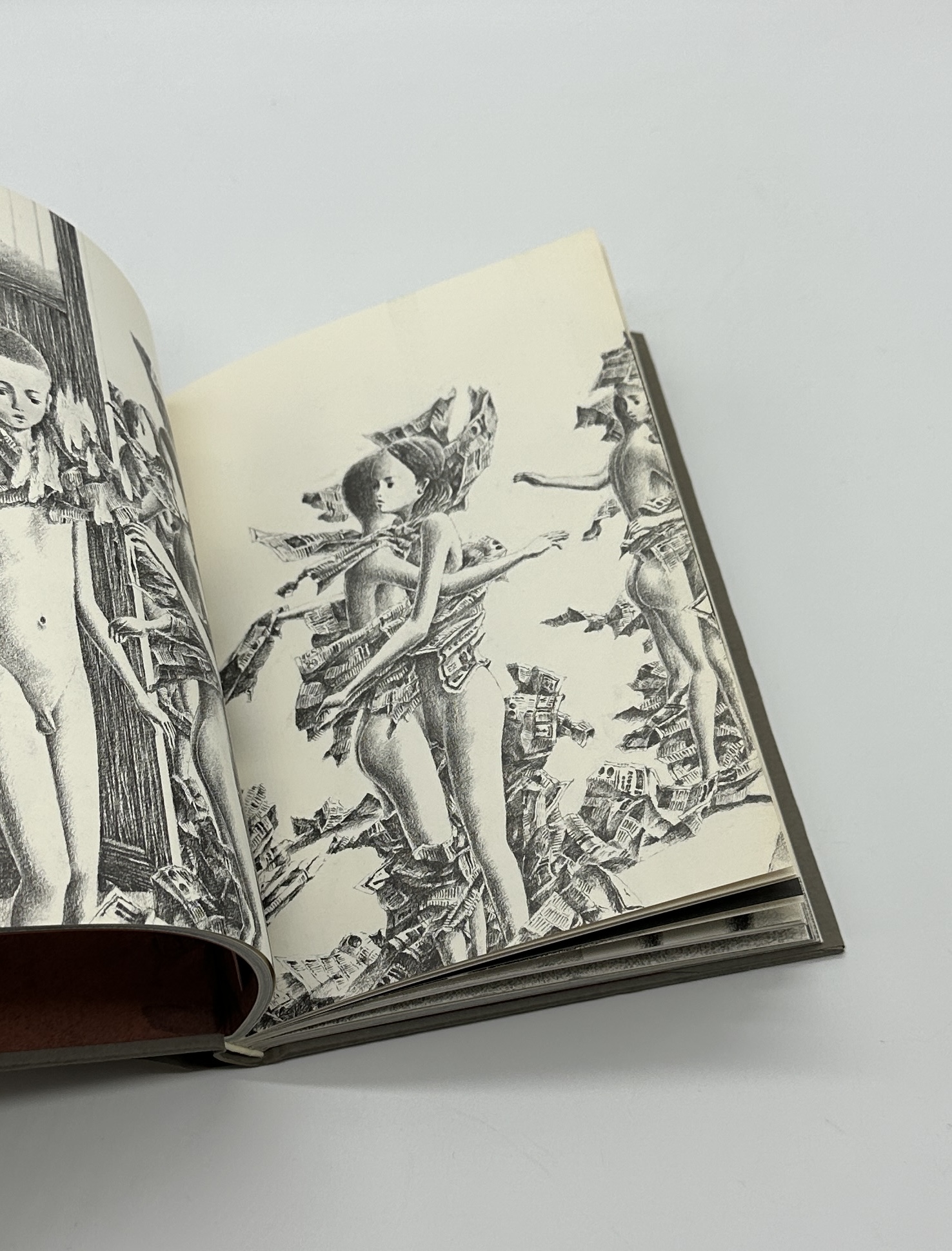 美しい日々 - 画像 (5)