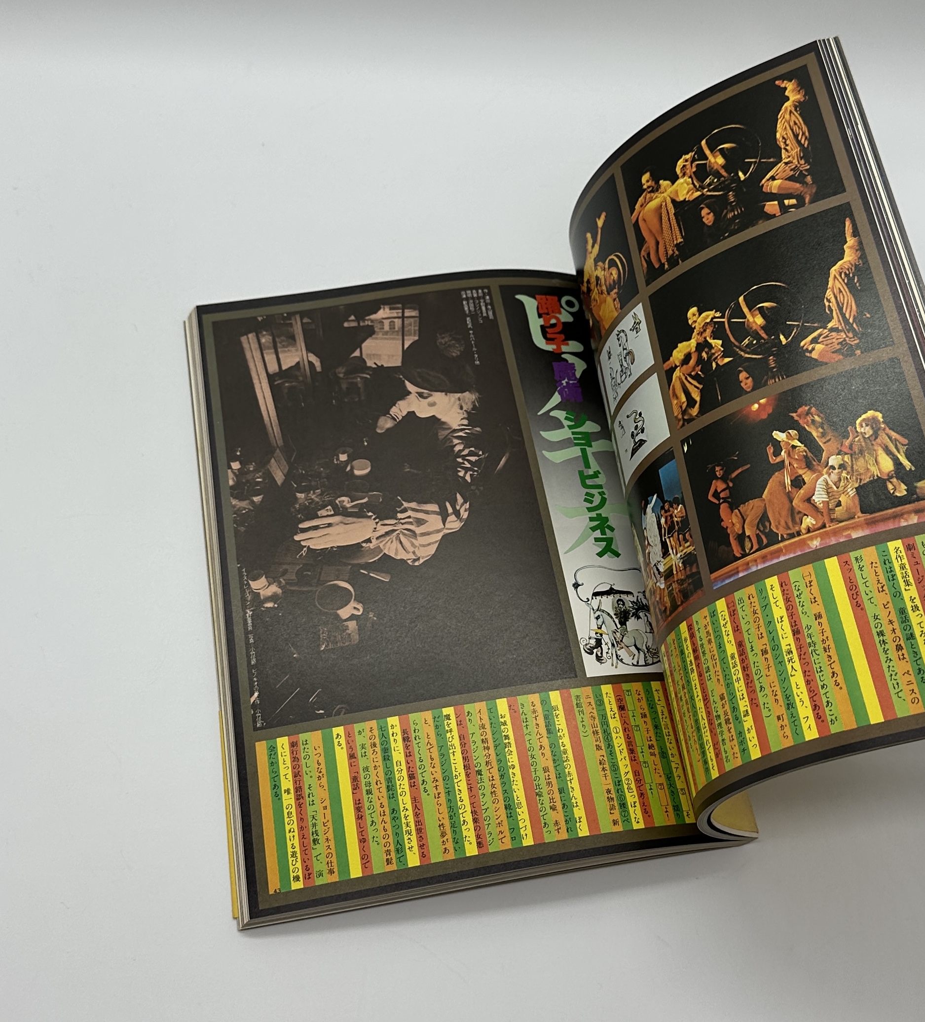 寺山修司の仮面画報 - りーちあーと