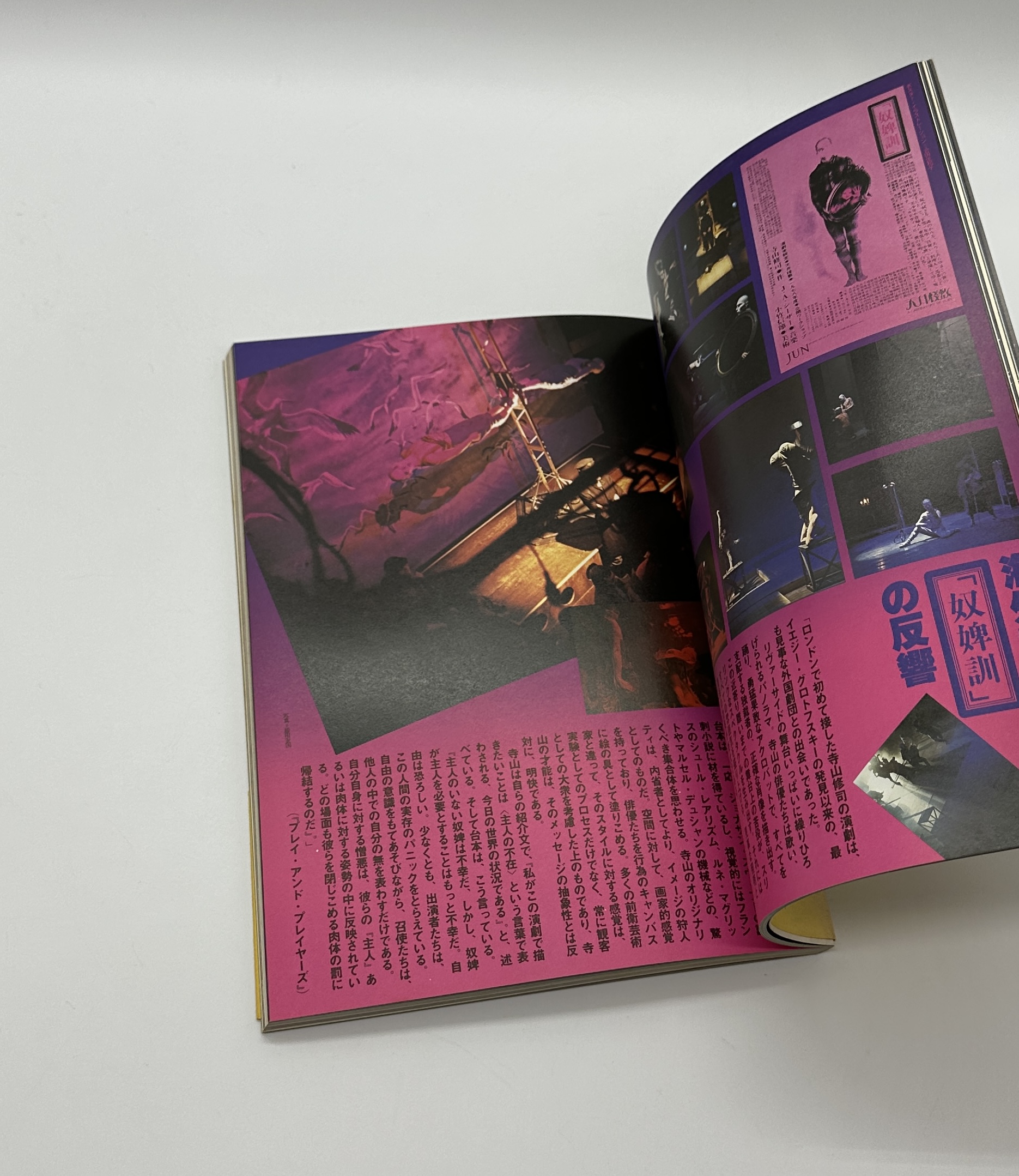 寺山修司の仮面画報 - 画像 (3)