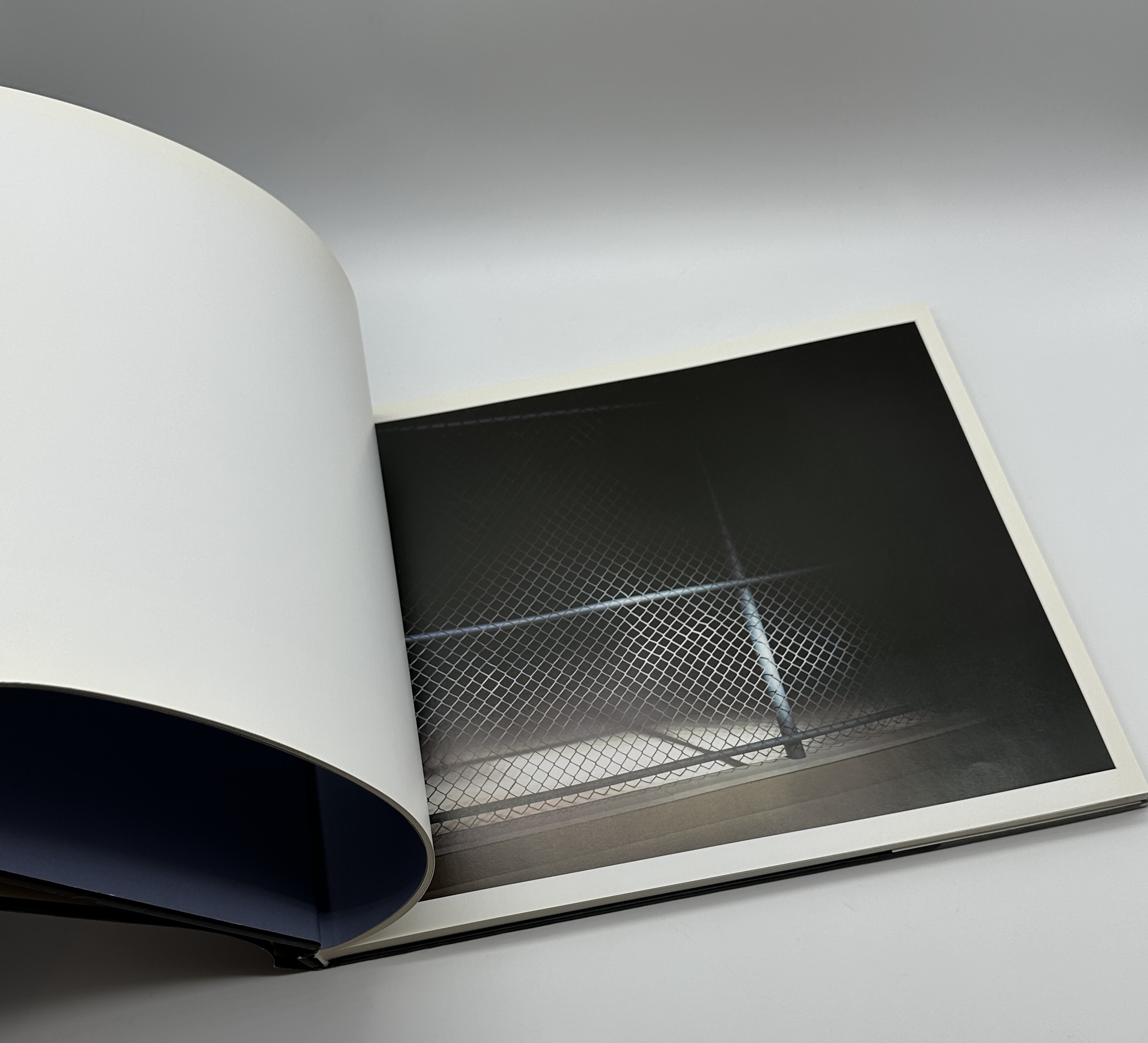 Photography - 画像 (5)