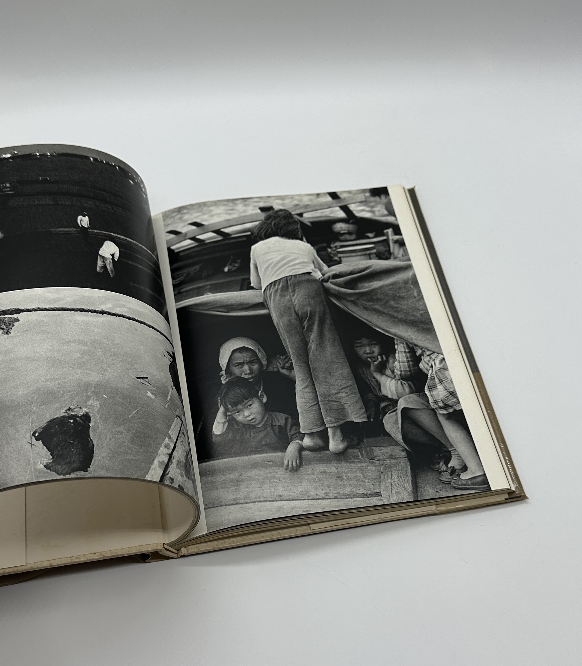 戦後派 - 画像 (5)