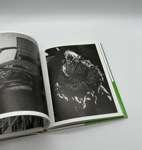 サン・ルゥへの手紙　新装版