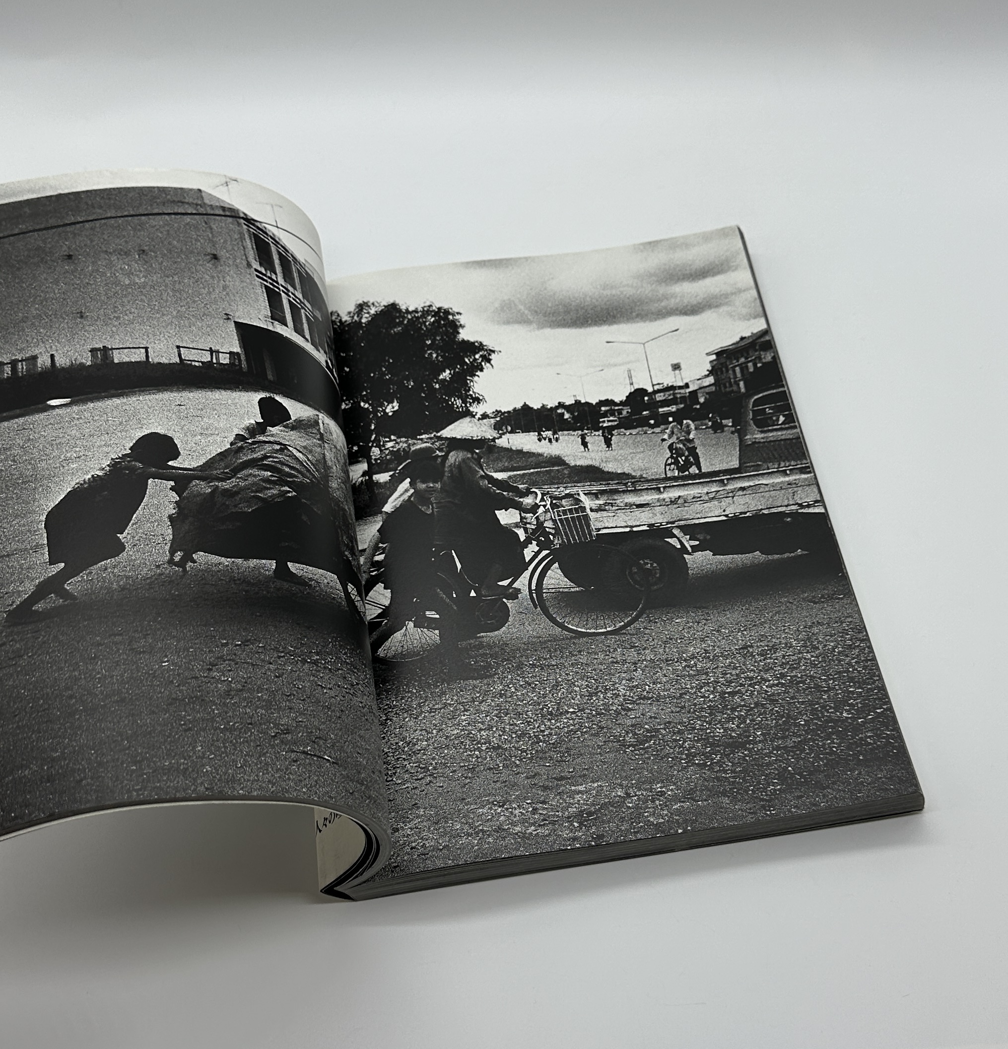 THE TROPICS - 画像 (4)