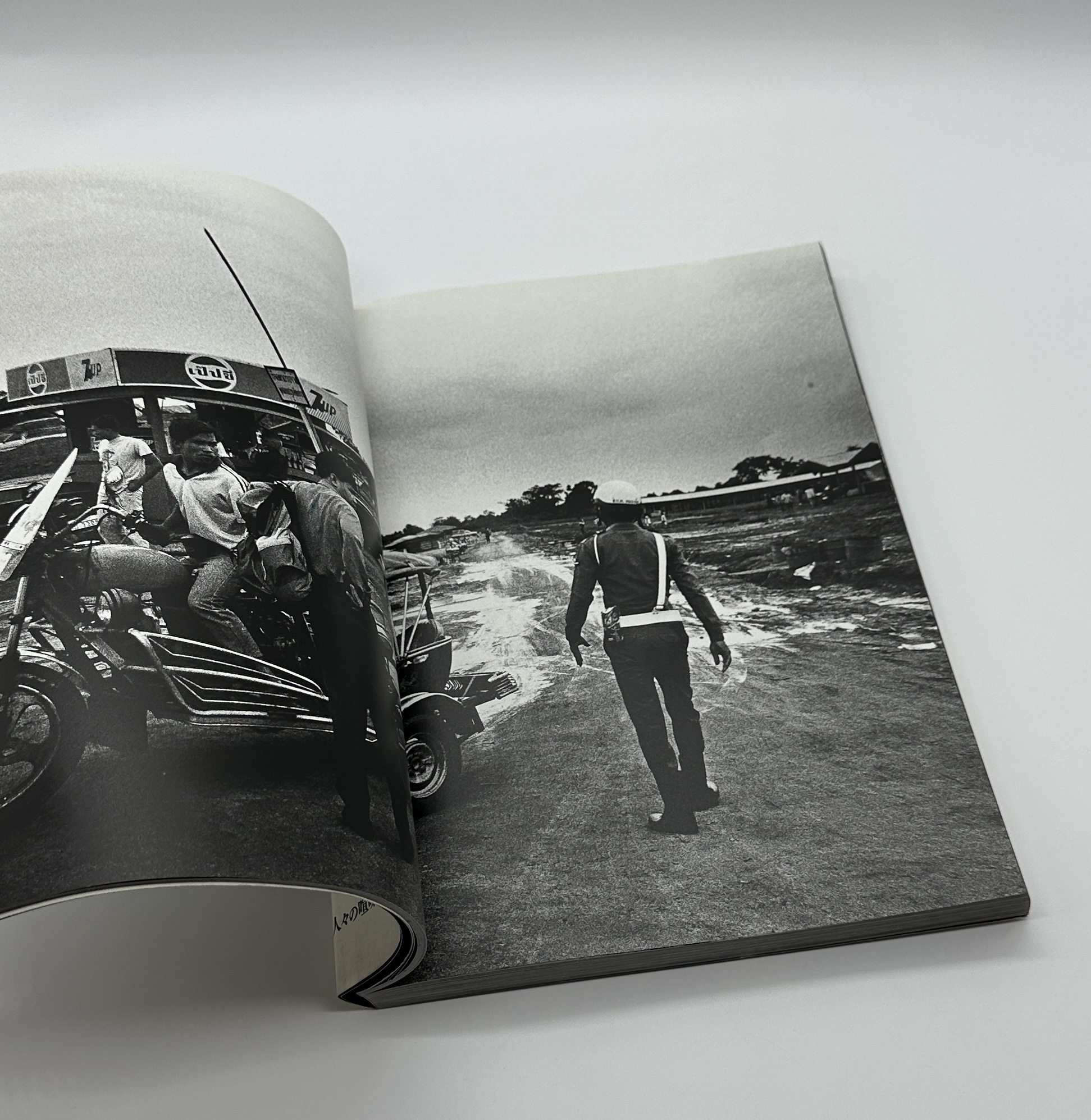 THE TROPICS - 画像 (3)