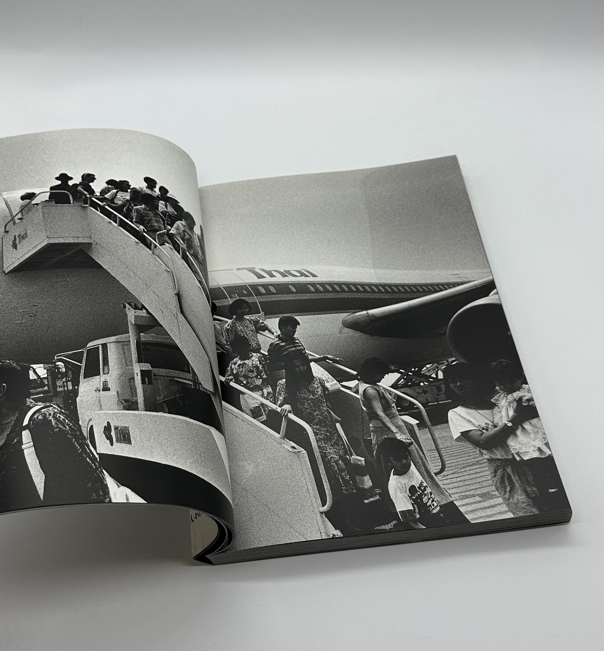 THE TROPICS - 画像 (2)