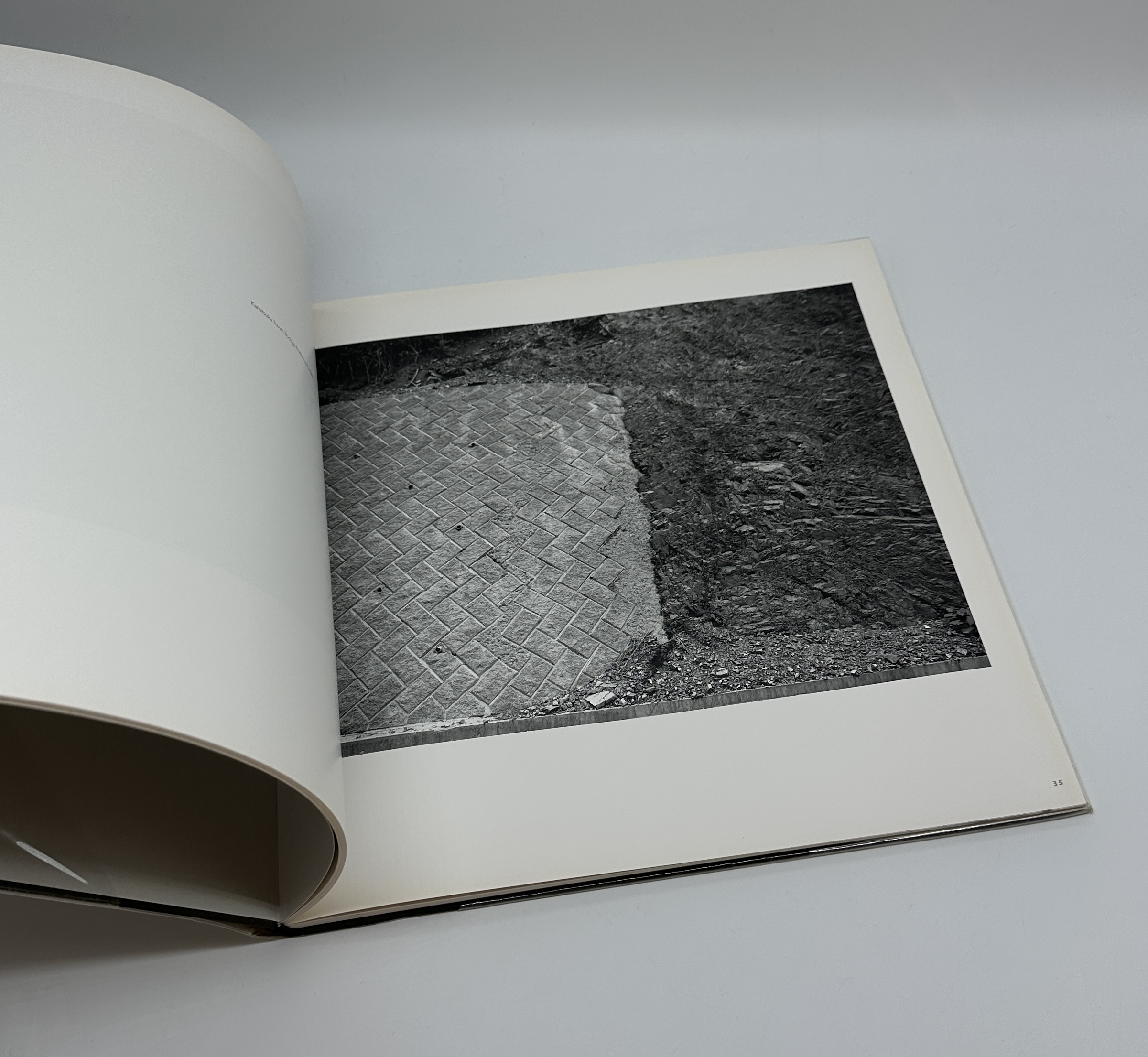 LANDSCAPE - 画像 (6)