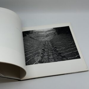 LANDSCAPE - 画像 (5)