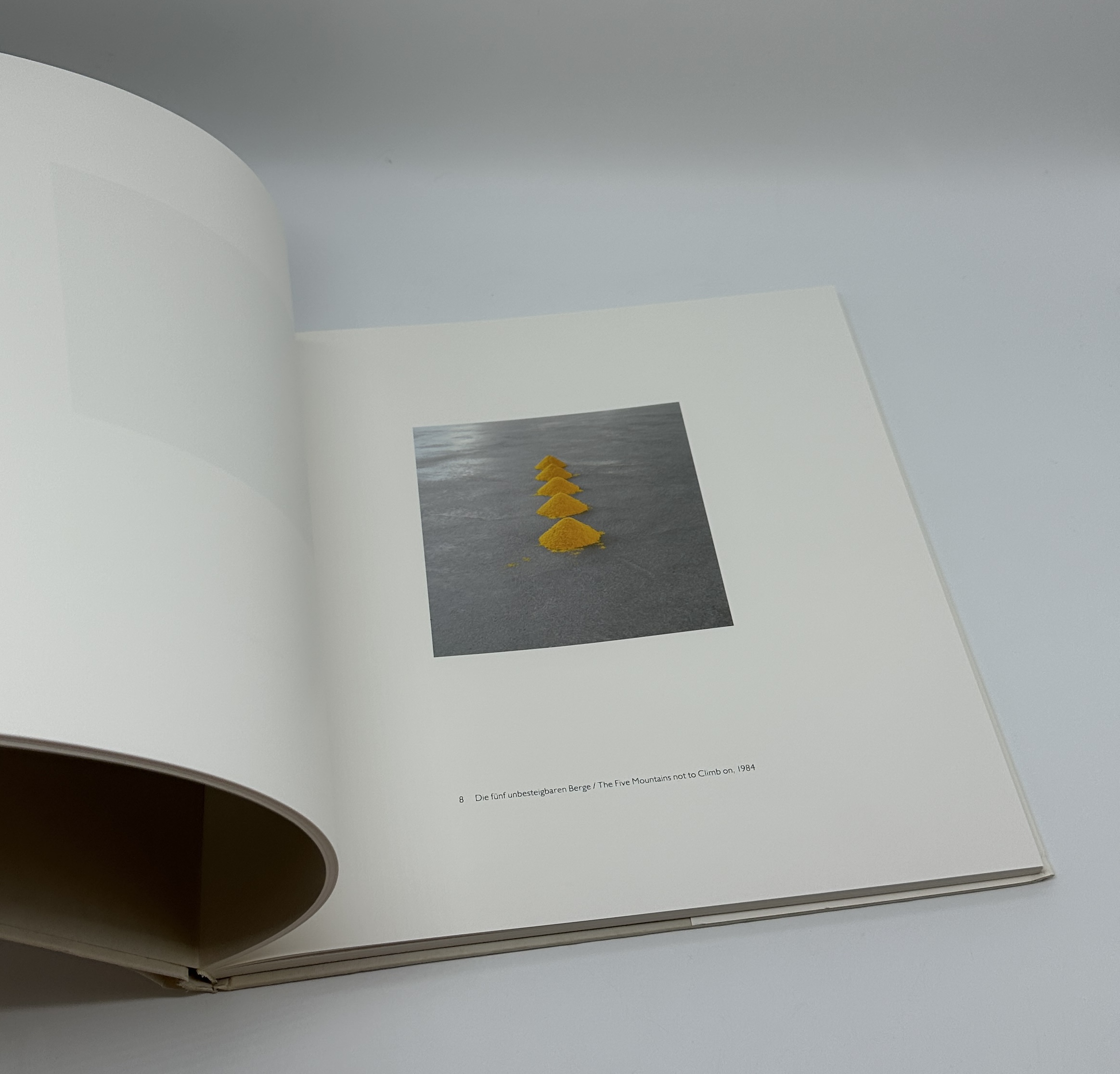 WOLFGANG LAIB - 画像 (6)