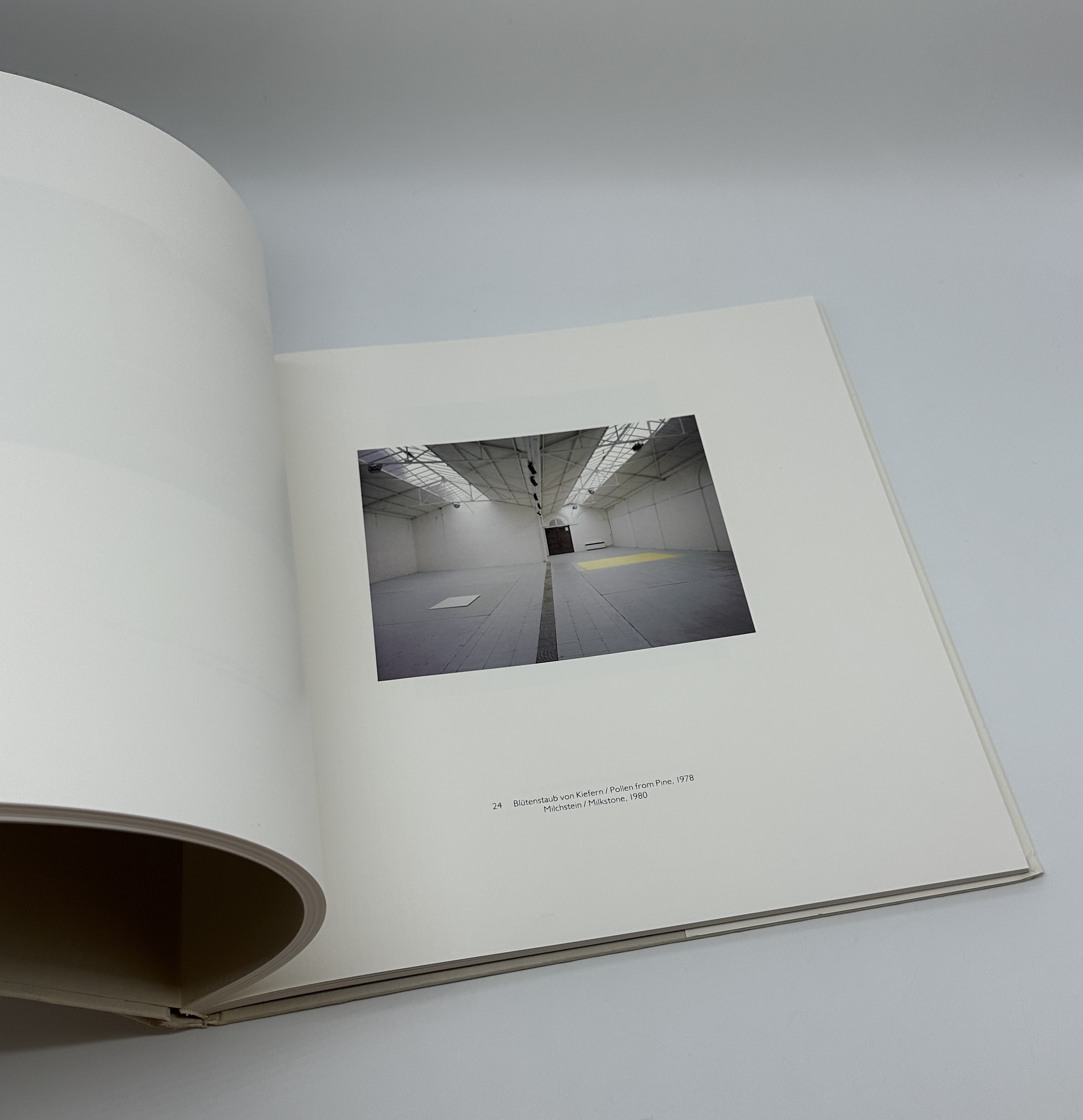 WOLFGANG LAIB - 画像 (3)