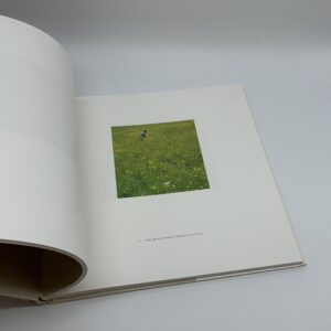 WOLFGANG LAIB - 画像 (2)