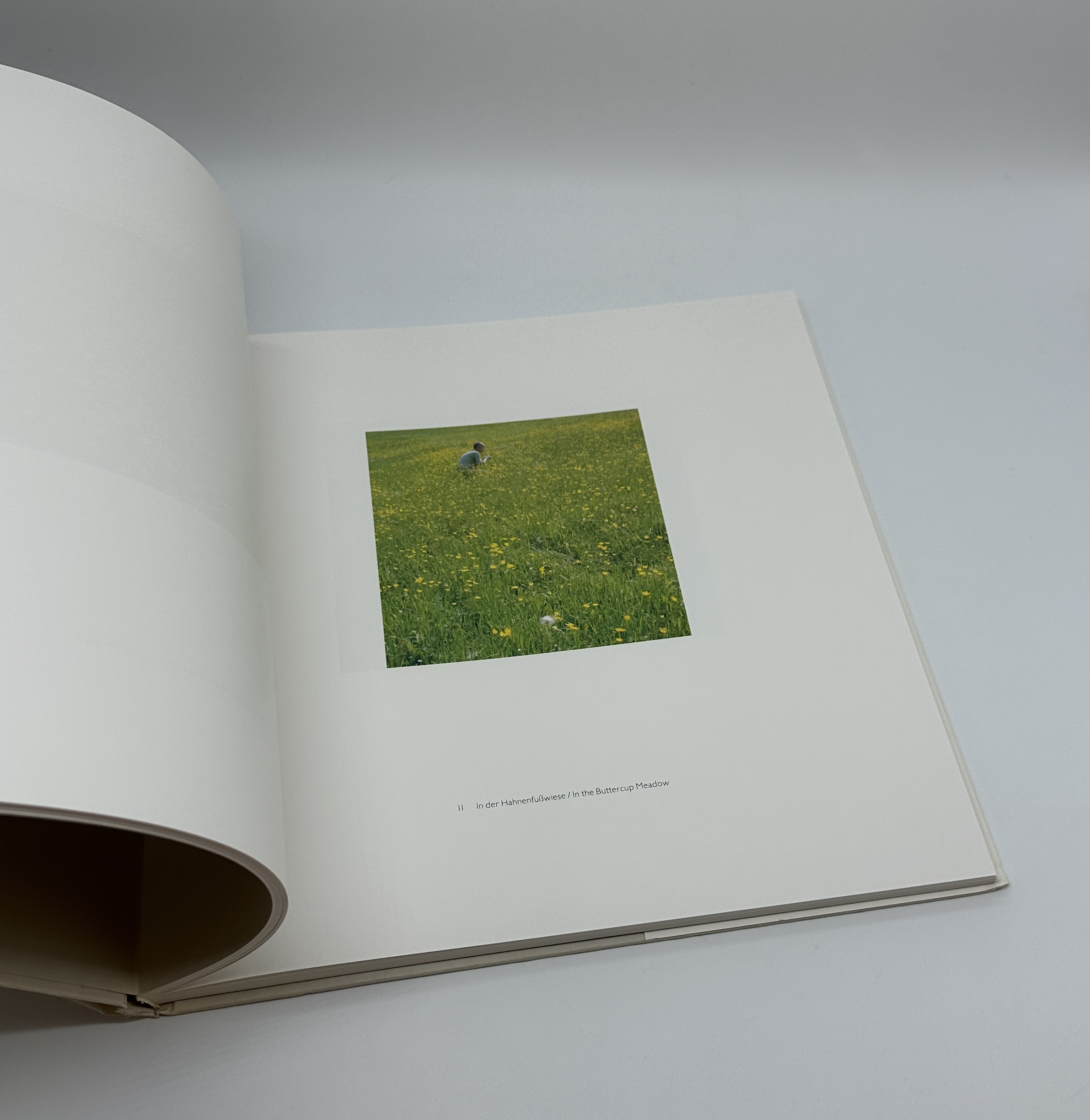 WOLFGANG LAIB - 画像 (2)