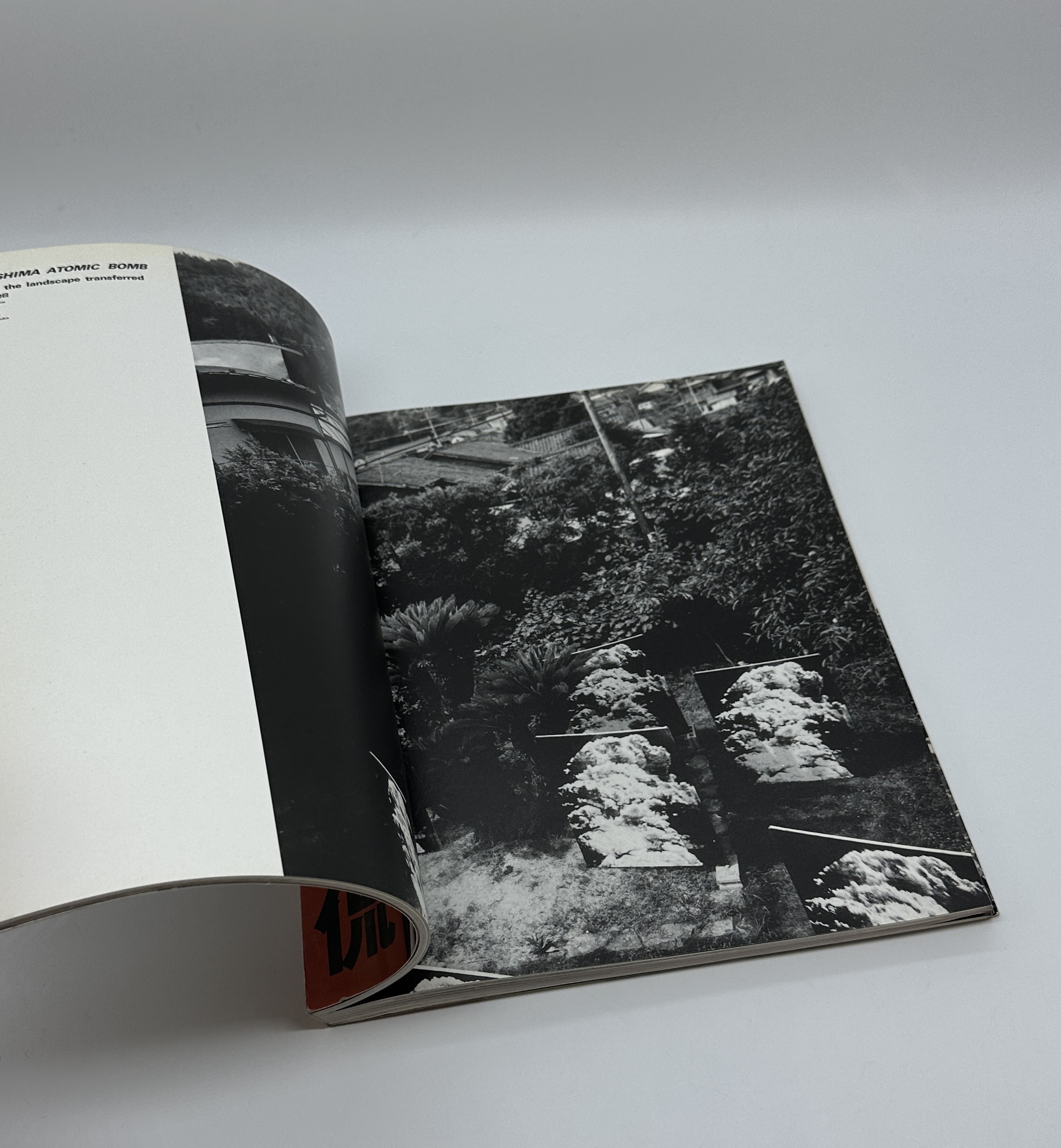 REVERSING REALITY - 画像 (4)