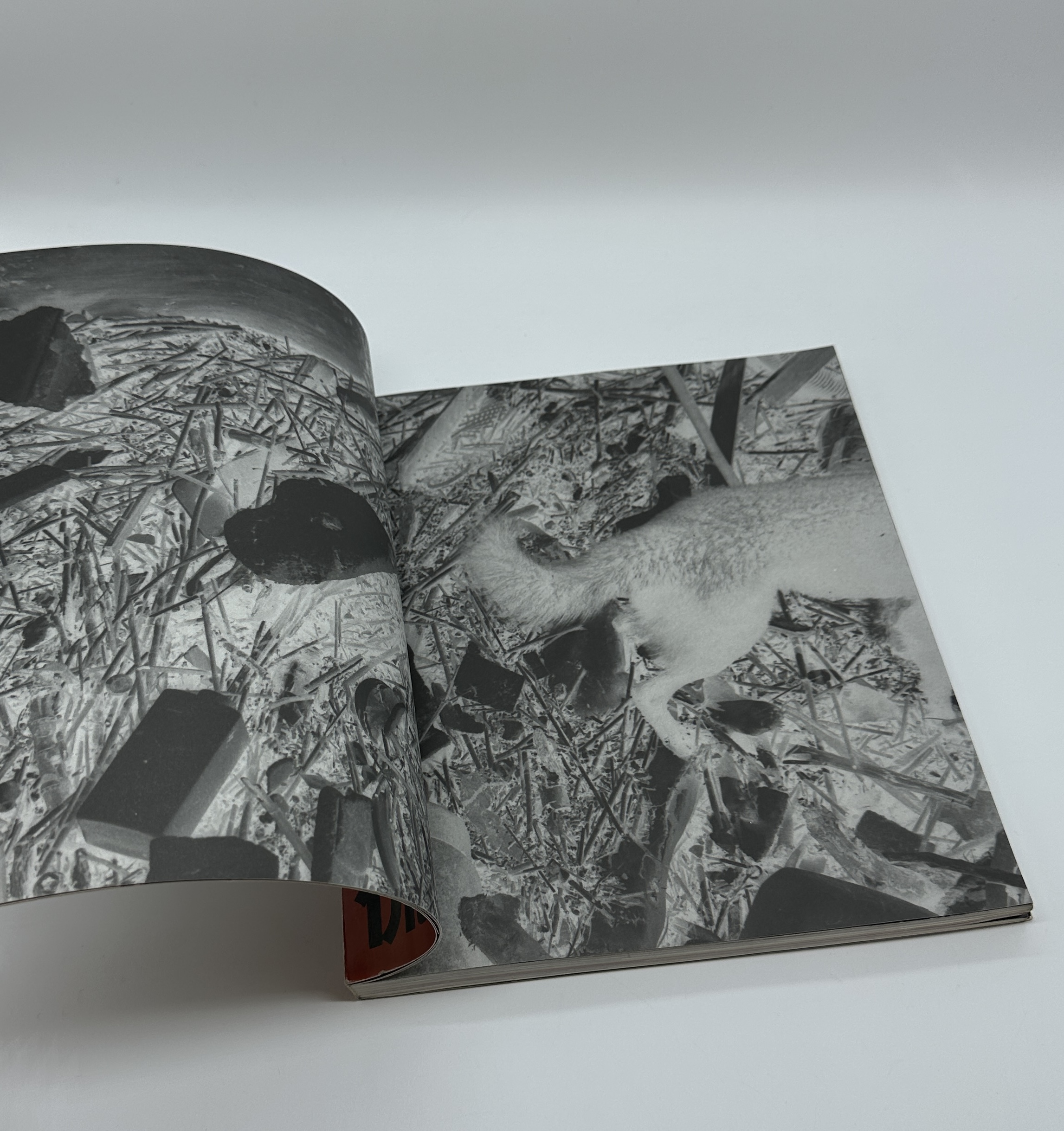 REVERSING REALITY - 画像 (2)