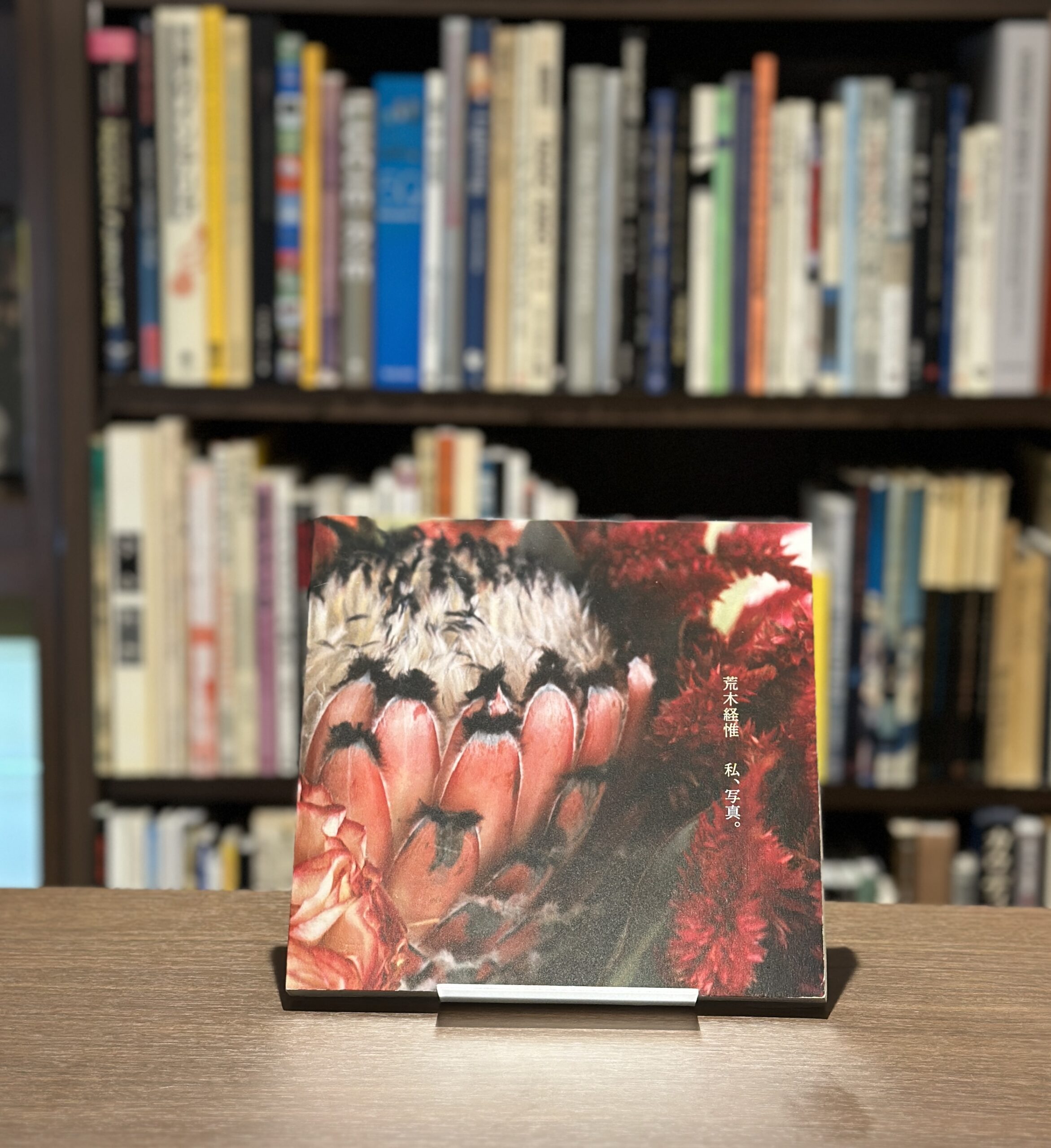 私、写真 - 画像 (1)