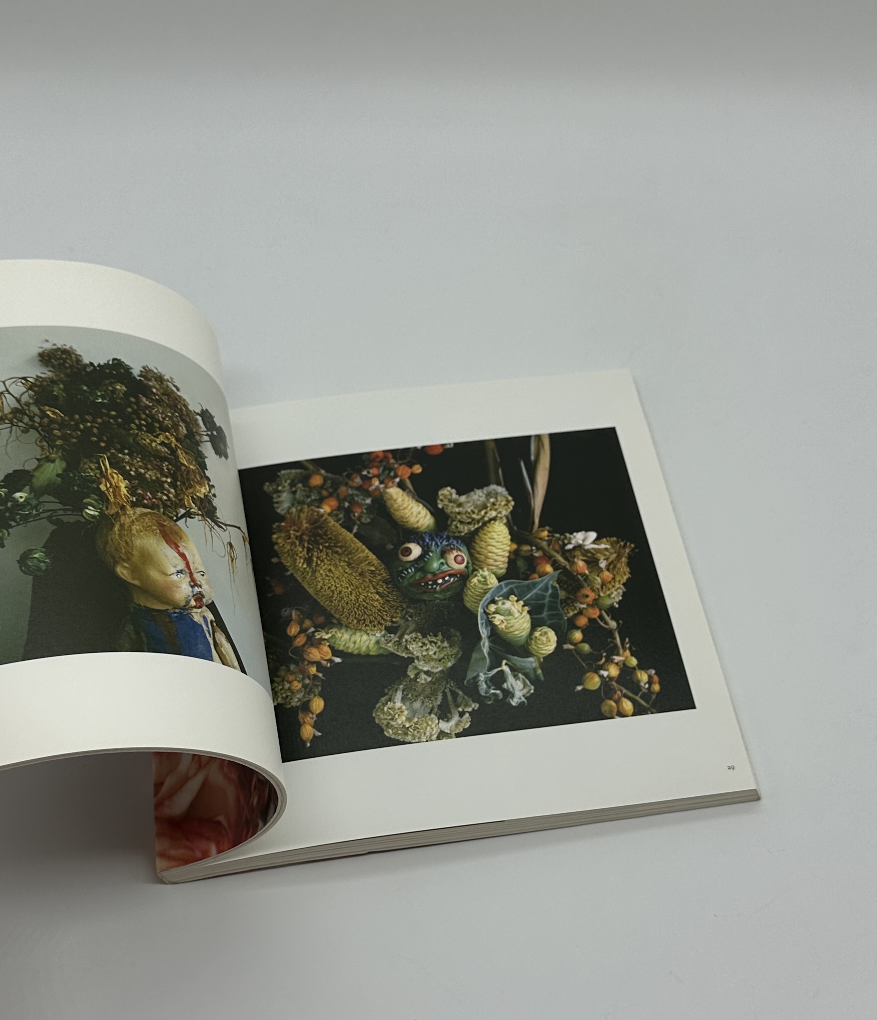 私、写真 - 画像 (4)