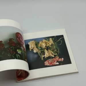 私、写真 - 画像 (3)