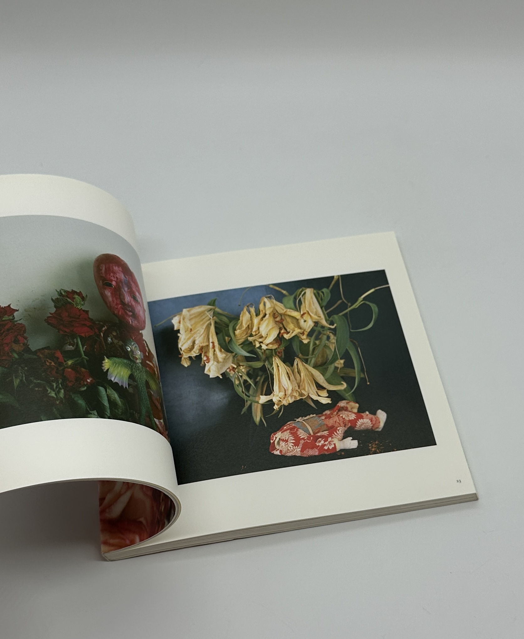 私、写真 - 画像 (3)