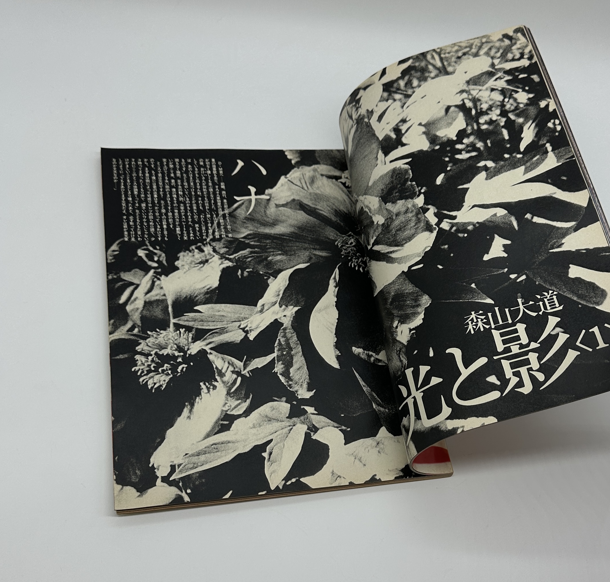 写真時代 創刊号 - りーちあーと