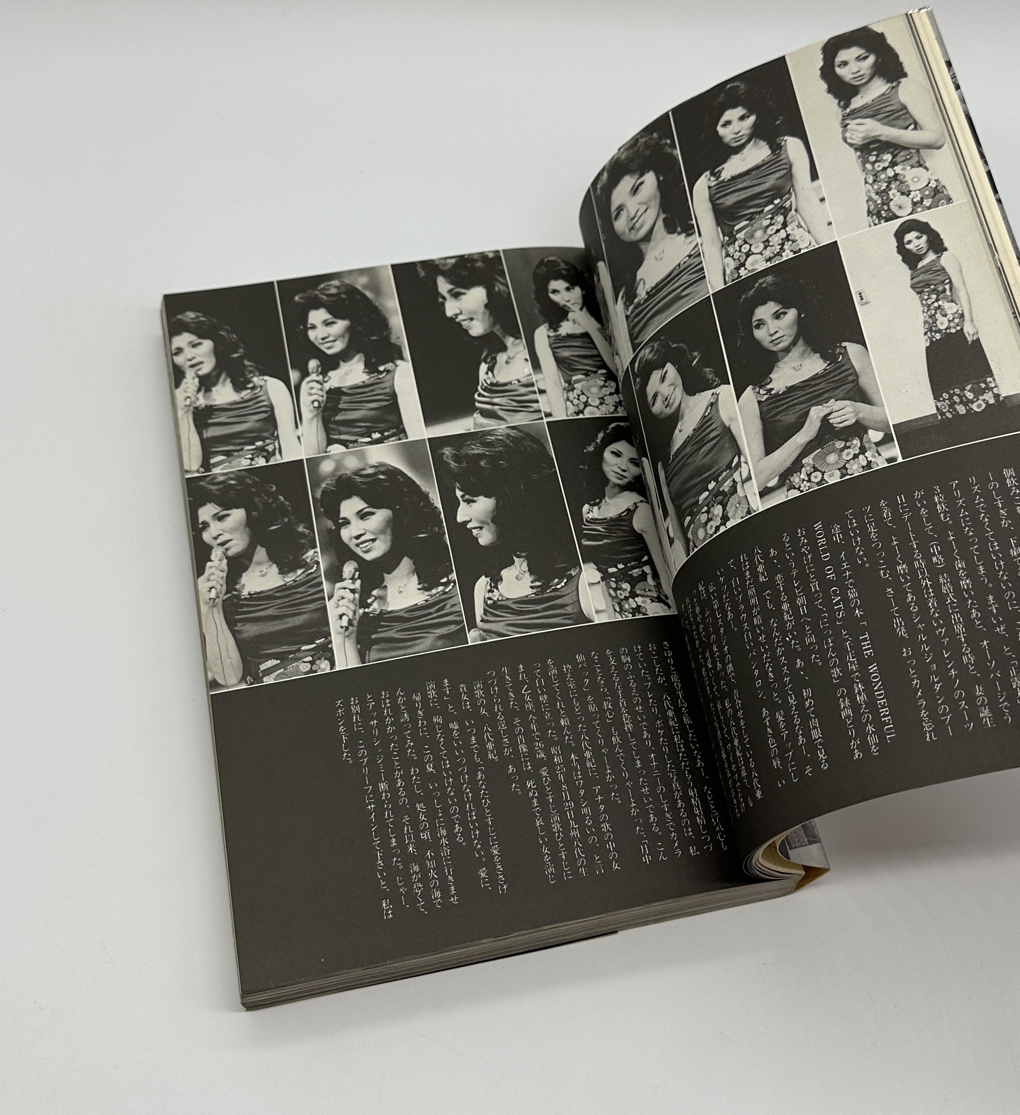 荒木経惟の偽ルポルタージュ - 画像 (3)