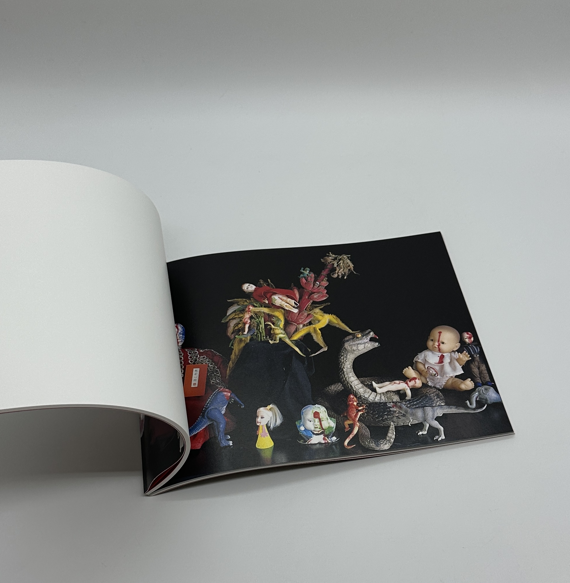 『署名入』往生写真　東ノ空 - 画像 (7)