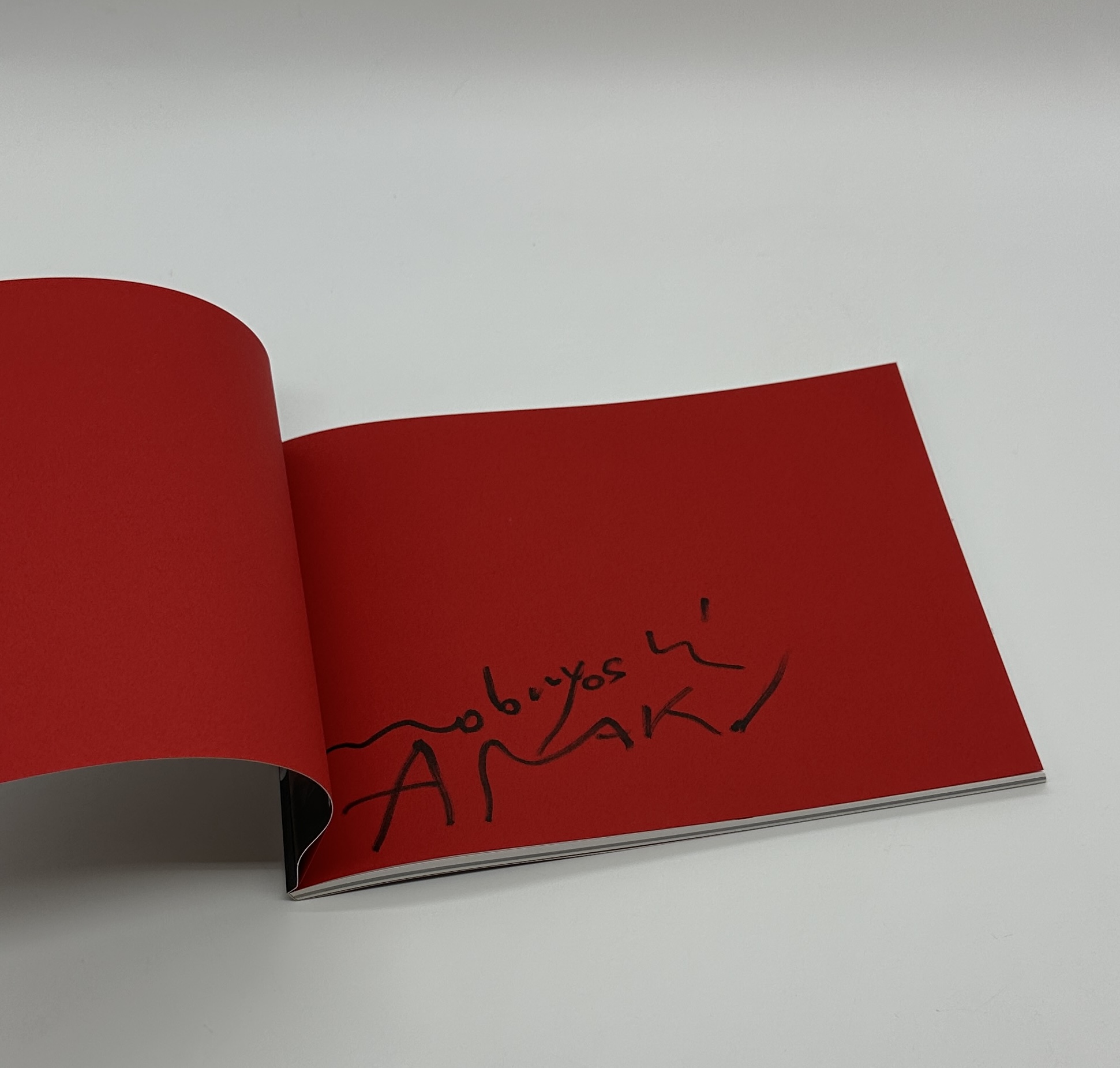 『署名入』往生写真　東ノ空 - 画像 (3)