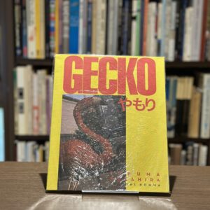 GECKO - 画像 (1)