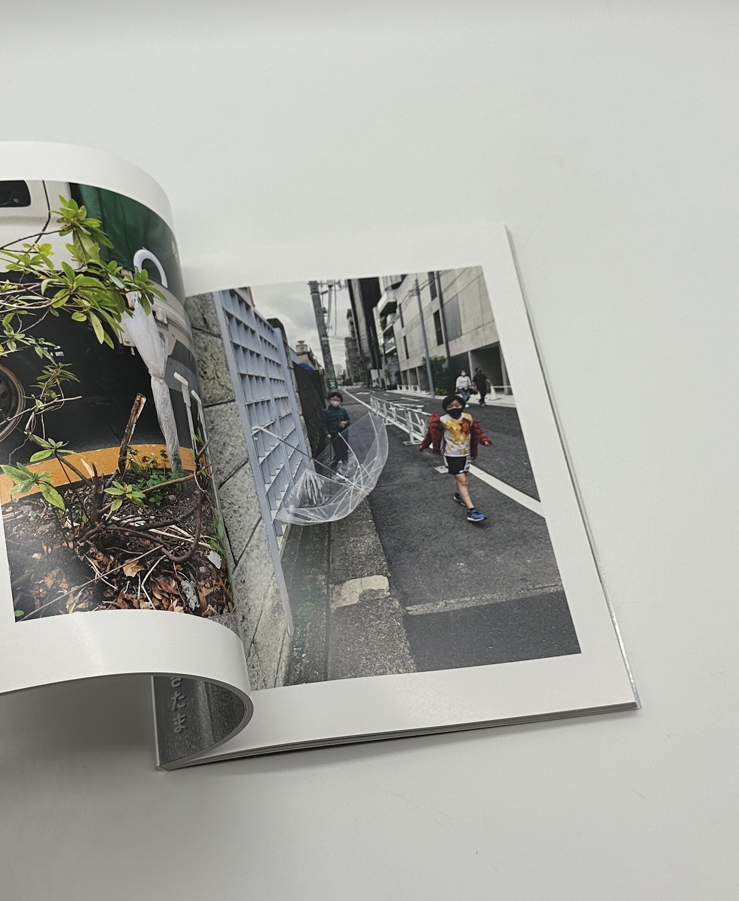 透明傘は誰の物 - 画像 (5)