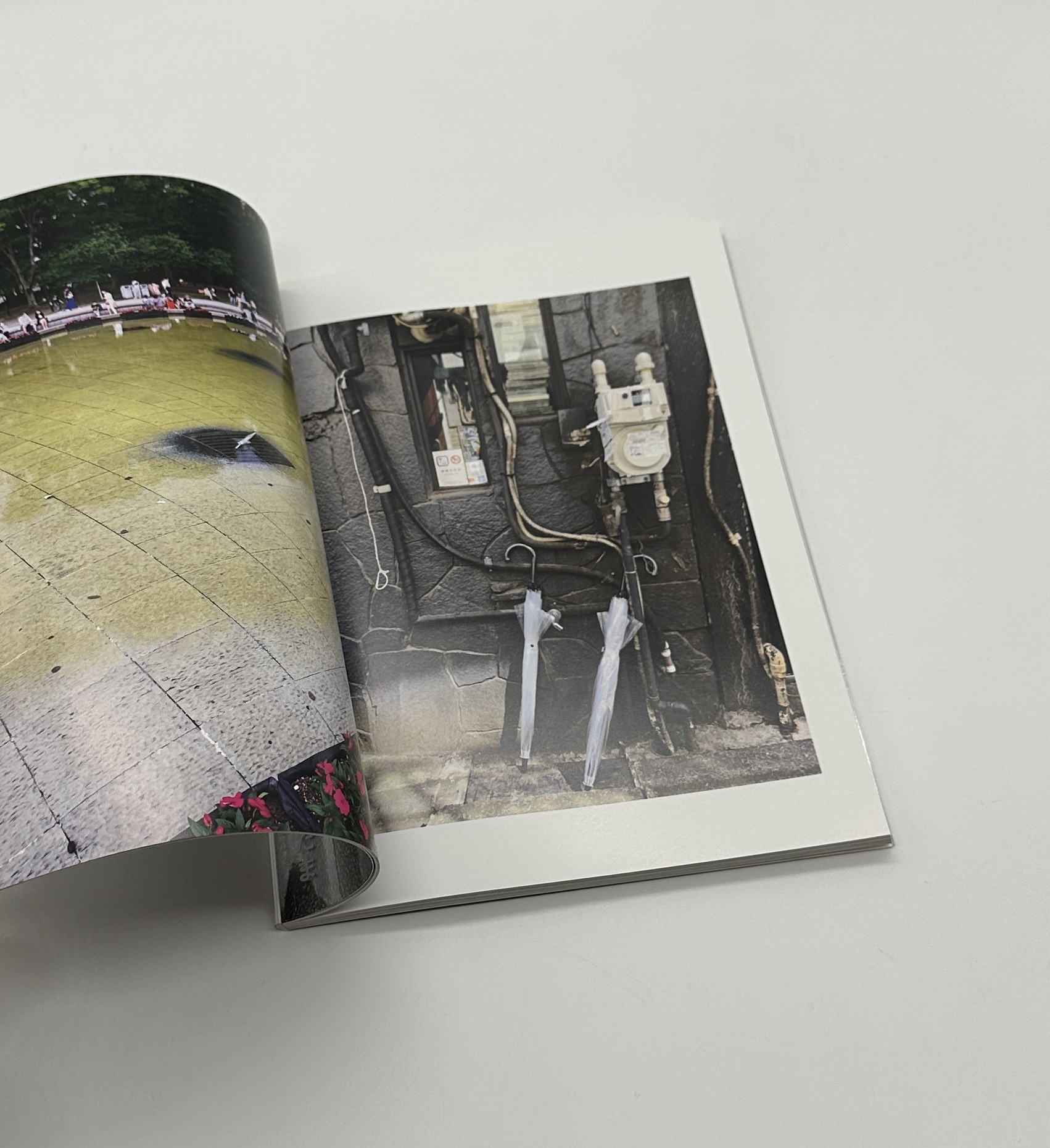 透明傘は誰の物 - 画像 (3)