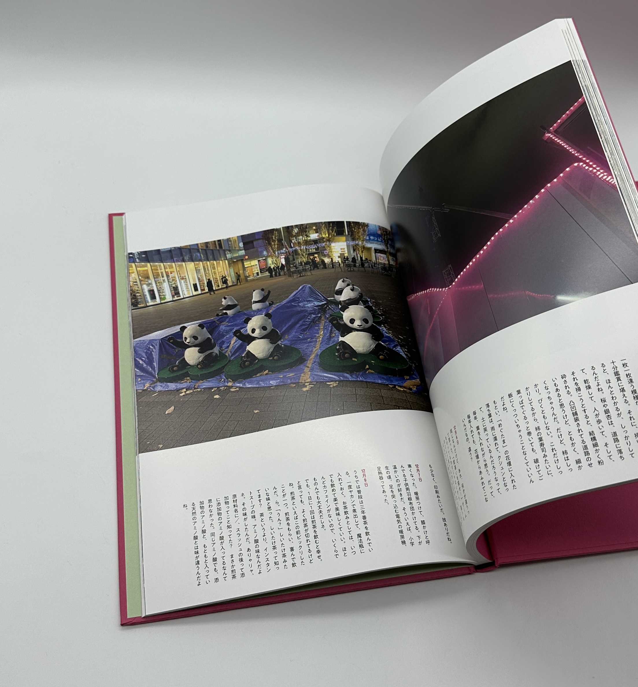 エビス日記 - 画像 (6)