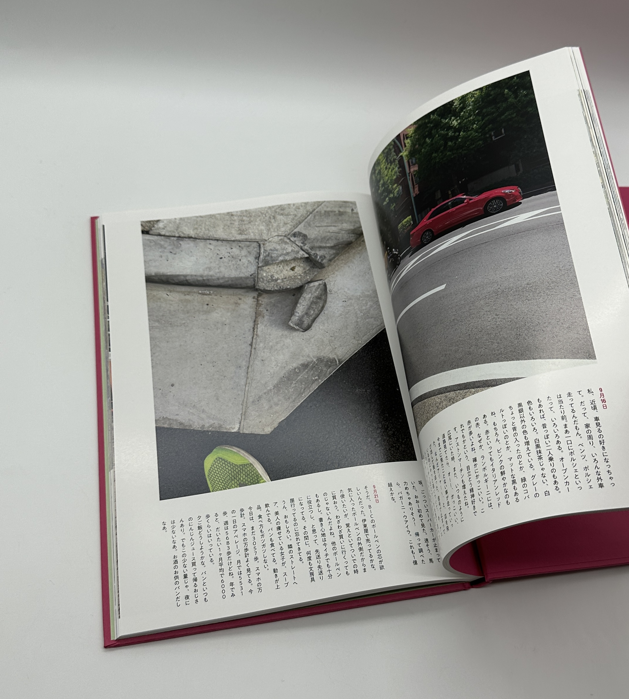 エビス日記 - 画像 (4)