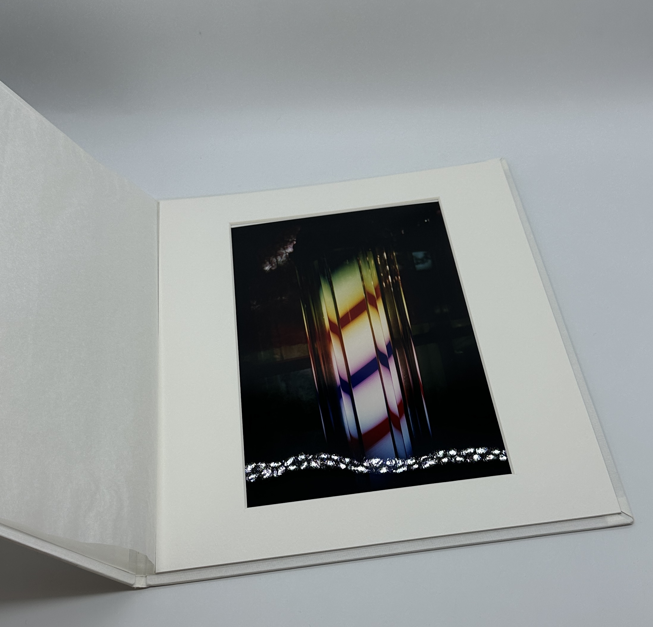 『署名入・プリント付特装版』DAIDO MORIYAMA THE COMPLETE WORKS - 画像 (3)