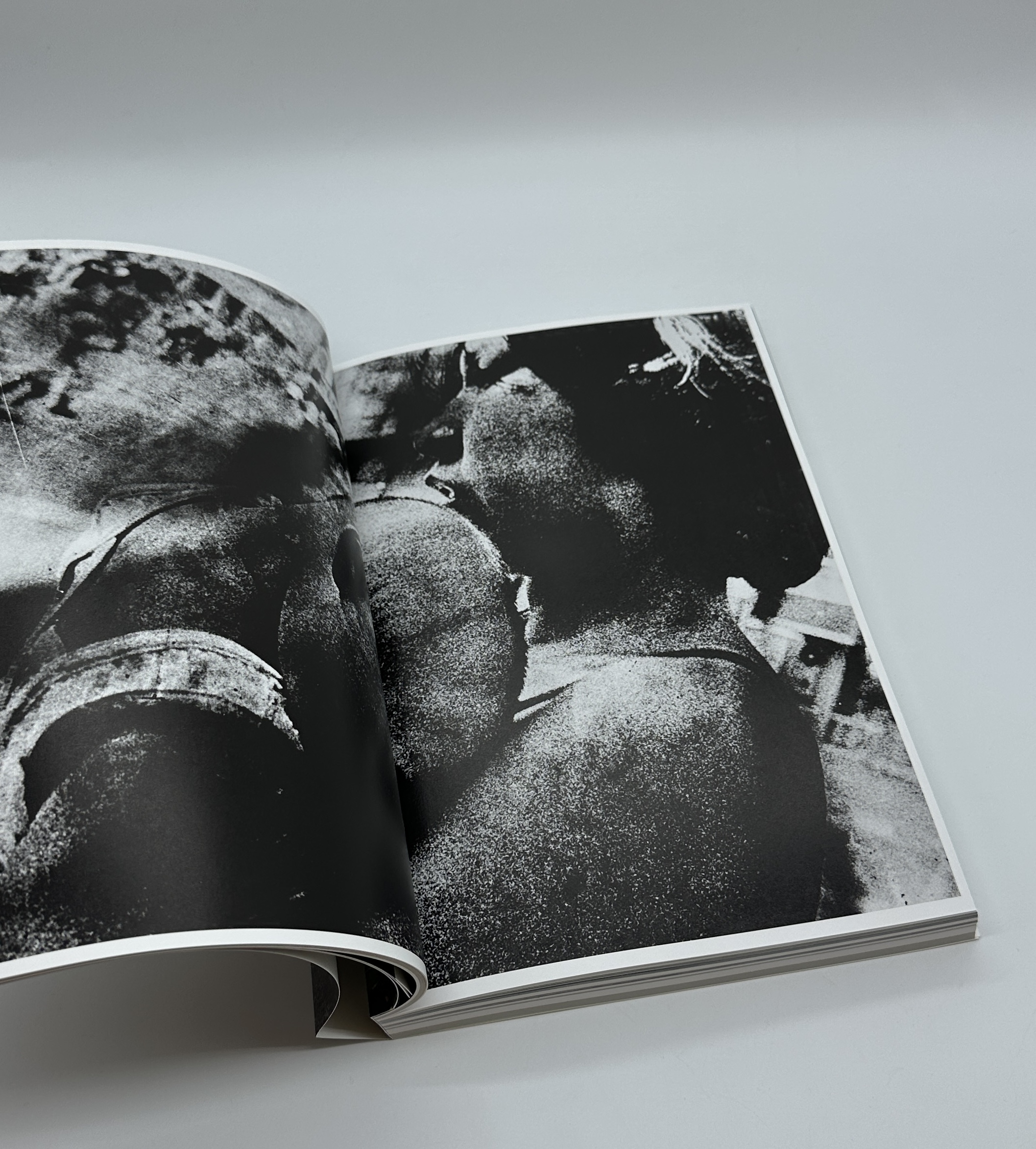 『署名入』借りた場所、借りた時間　Borrowed place, borrowed time - 画像 (4)