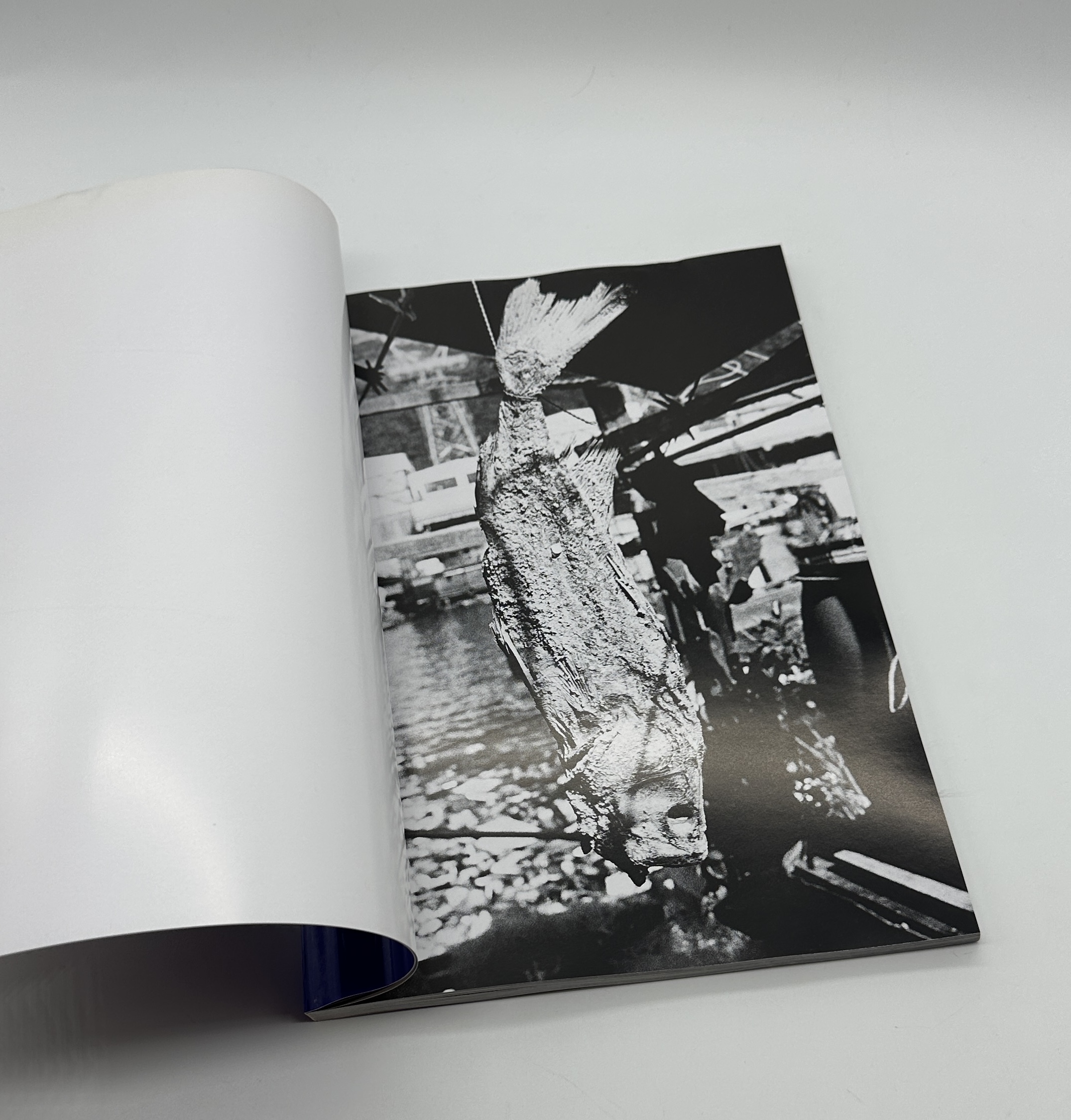 HONG KONG - 画像 (2)