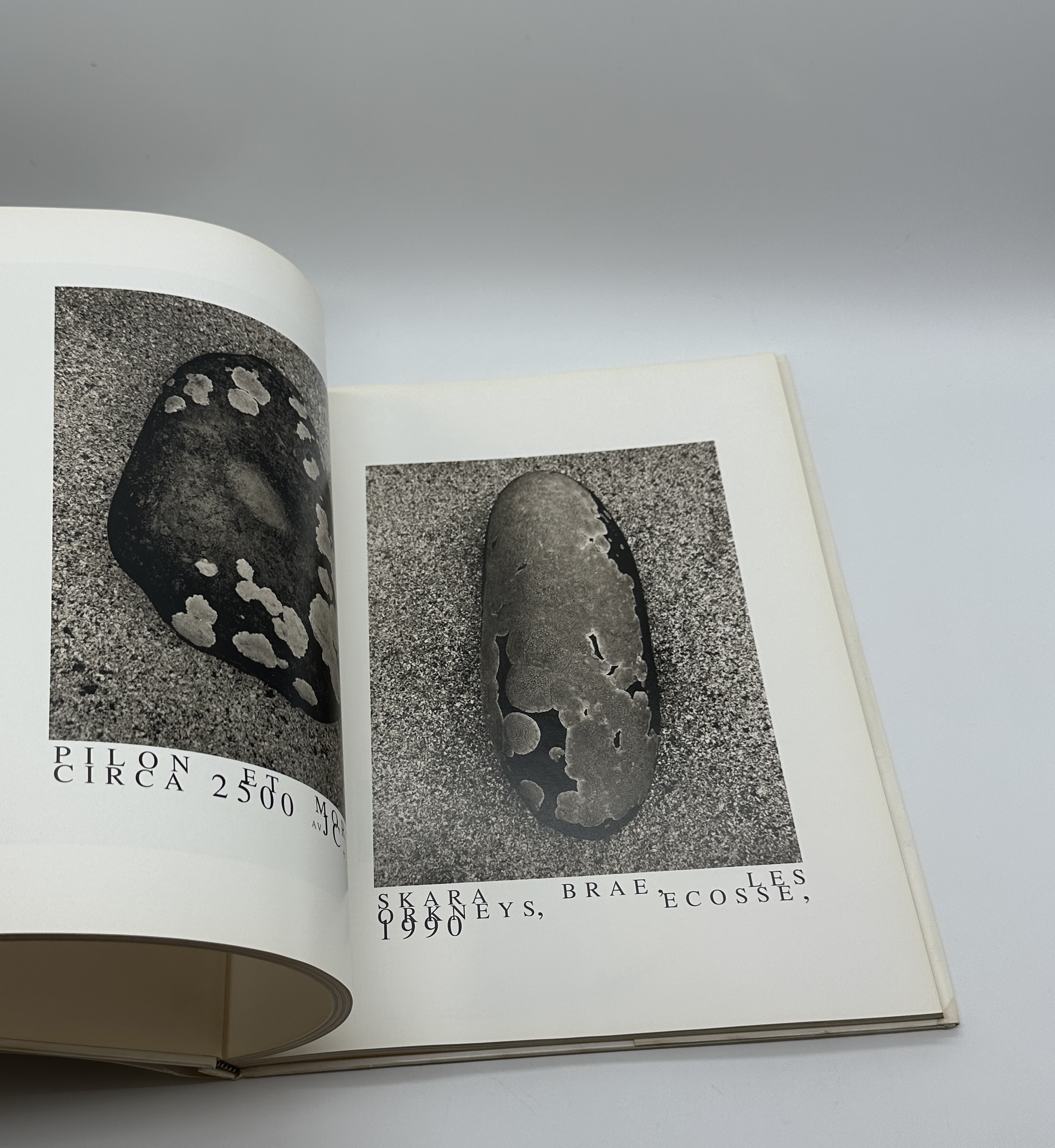 cyclops - 画像 (6)