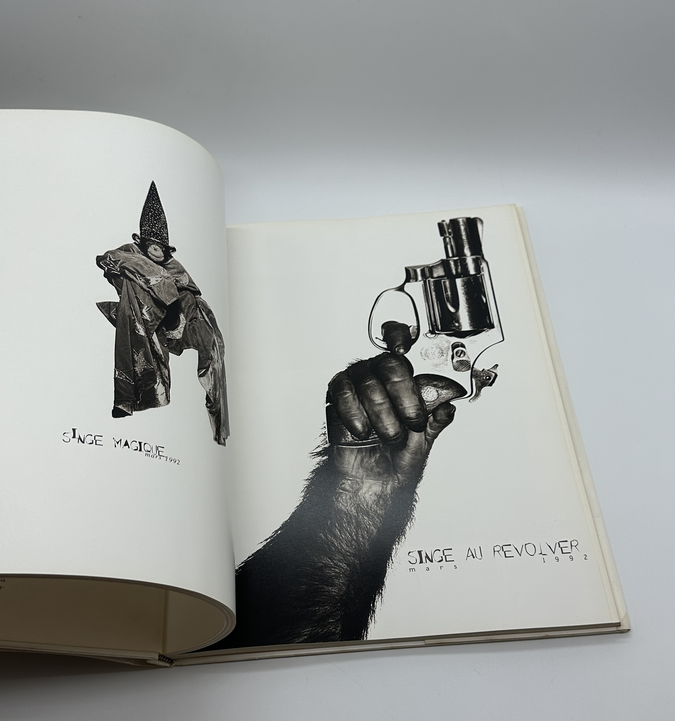 cyclops - 画像 (5)