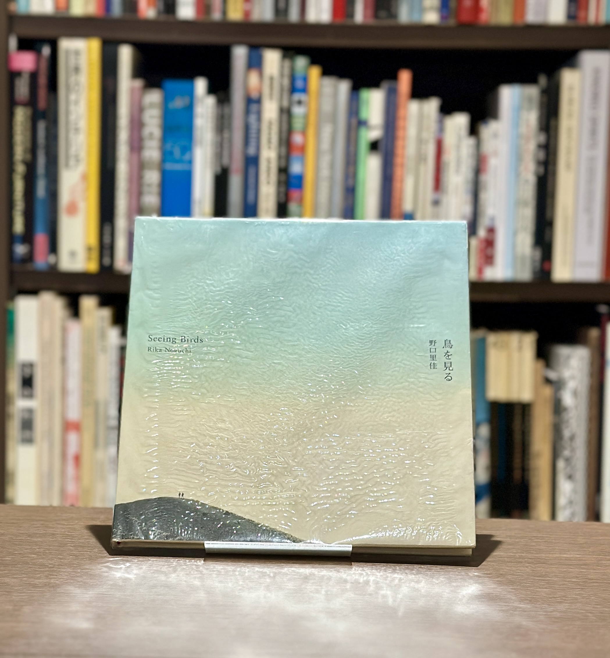 鳥を見る - 画像 (1)