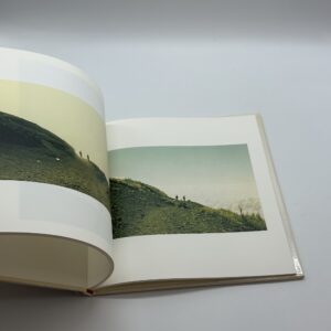 鳥を見る - 画像 (5)